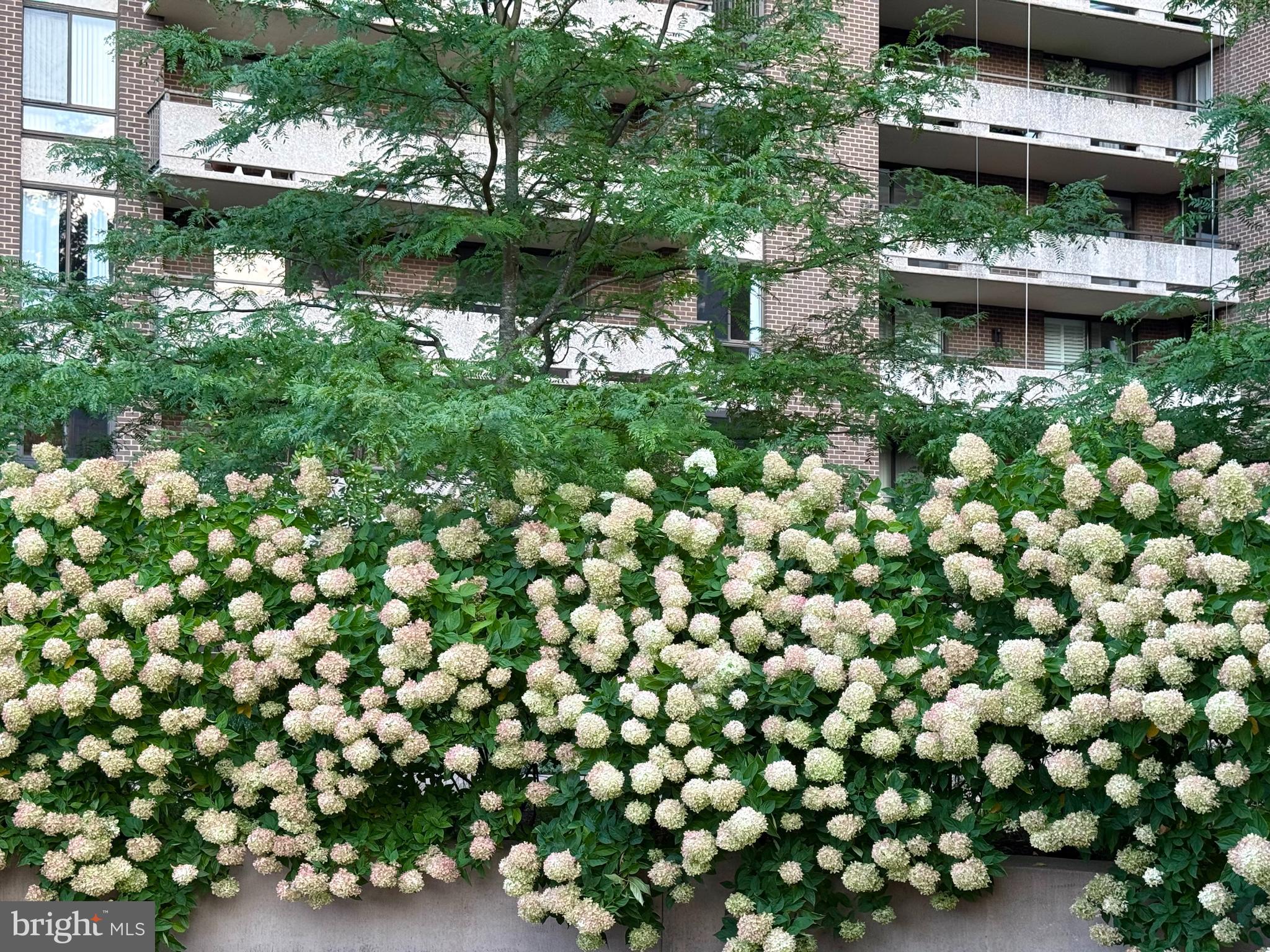 REGENCY AT MCLEAN - Residential