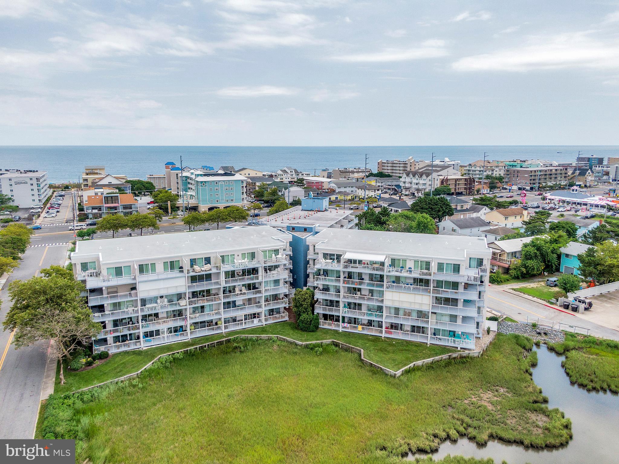 TRITON'S TRUMPET - Residential