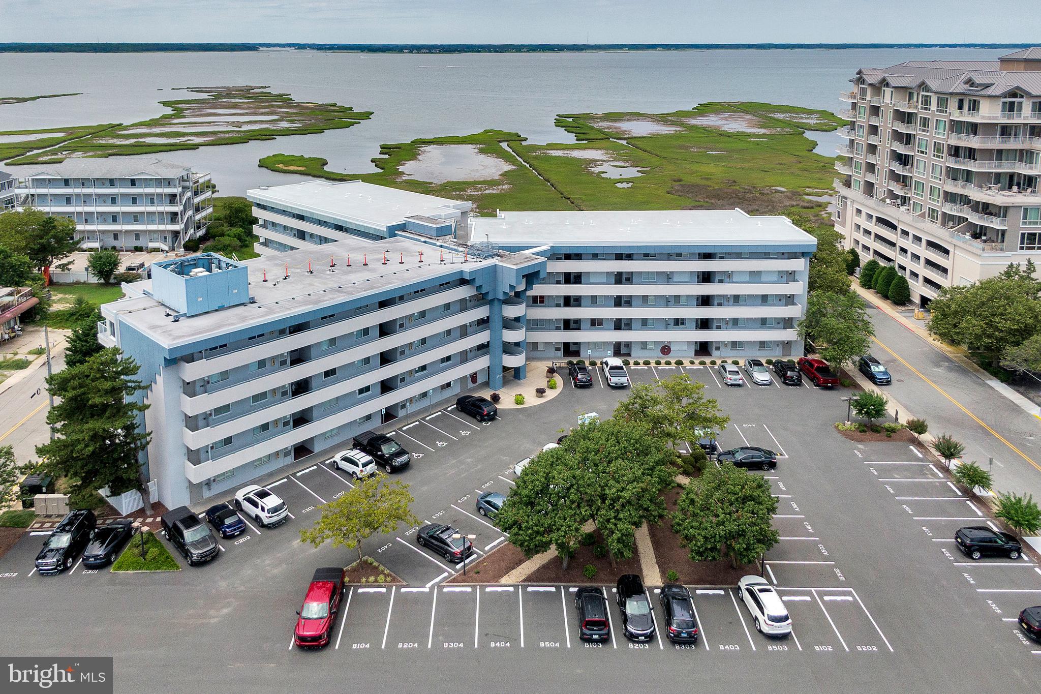 TRITON'S TRUMPET - Residential