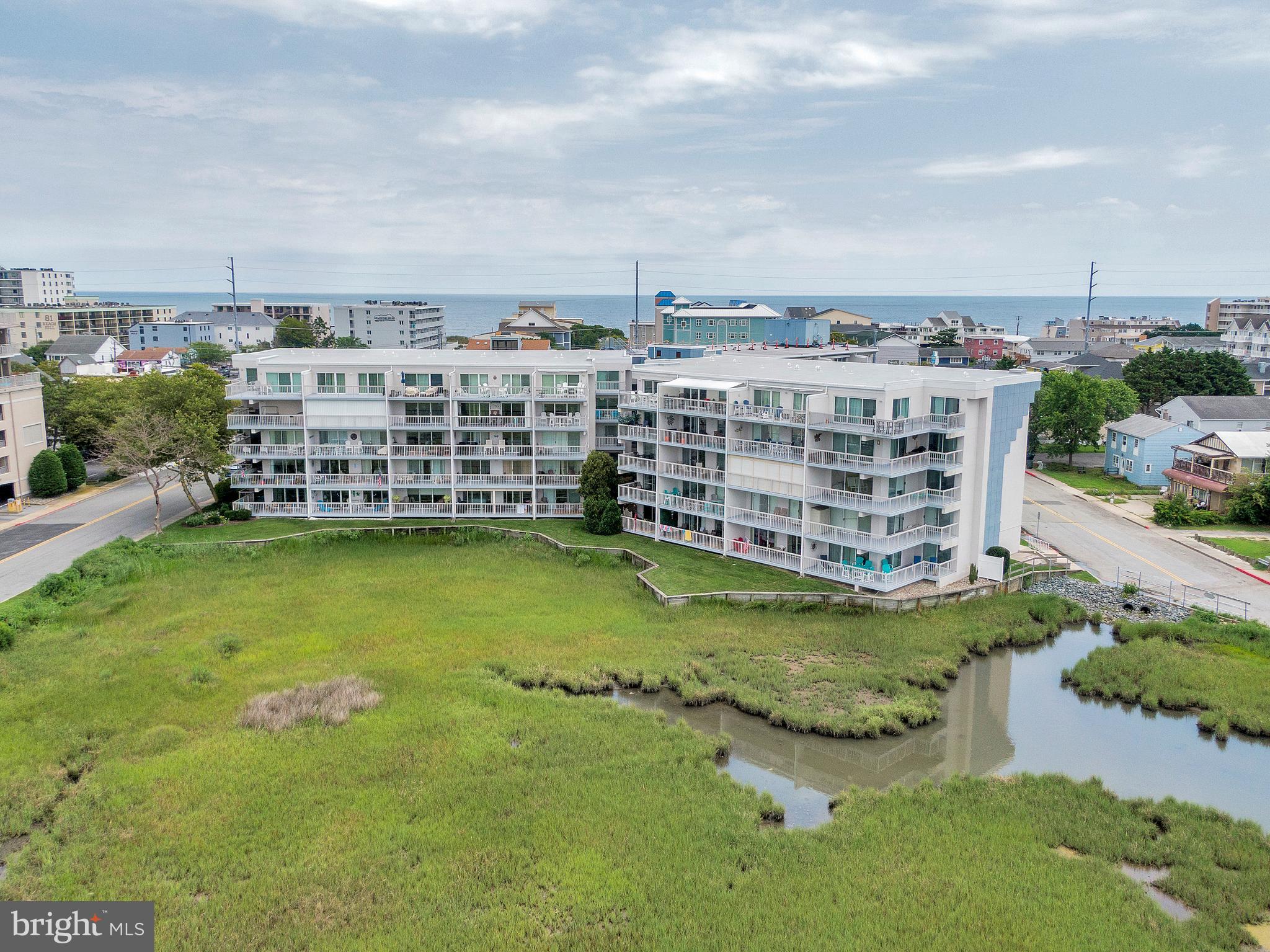 TRITON'S TRUMPET - Residential