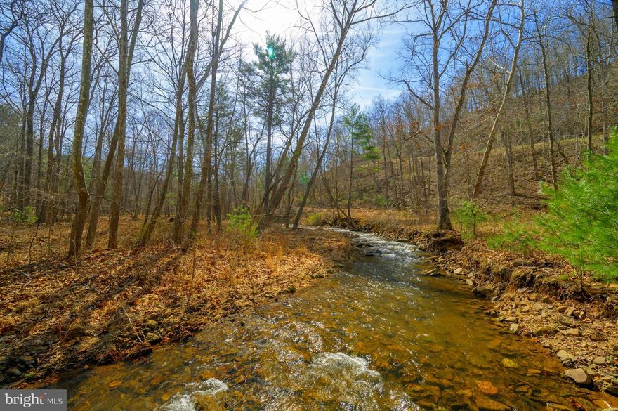 Welcome to your mountain paradise in the exclusive gated community of Ashton Woods! Nestled on a serene 20-acre lot just 10 minutes off Corridor H/55, this picturesque property offers the perfect blend of natural beauty and modern convenience.

With approximately 6 acres of prime camping and hunting space situated alongside a tranquil stream, you'll find endless opportunities for outdoor adventures right at your doorstep. 

Boasting multiple potential building sites with breathtaking views, this land presents an ideal canvas for constructing your dream home. Whether you envision a cozy mountain retreat or a gathering place for your extended family, the possibilities are endless.

Once only a haven for hunters, Ashton Woods has evolved into a thriving gated community, offering a harmonious blend of privacy and community living. With electric readily accessible throughout the area, remote working becomes a breeze, allowing you to enjoy the tranquility of nature without sacrificing modern amenities.

Nature enthusiasts will delight in the abundance of wildlife that calls this area home, while outdoor enthusiasts will appreciate the proximity to public access points for fishing, kayaking, and tubing, just 20 minutes away. And when it's time to stock up on supplies or indulge in a delicious meal, the bustling town of Moorefield is just a short 15-minute drive away.

Whether you're seeking a full-time residence, a weekend getaway, or a hunting cabin, this is your place! Don't miss your chance to build the life you've always dreamed of, surrounded by the beauty of Ashton Woods. Come explore this remarkable property and envision the possibilities that await you!