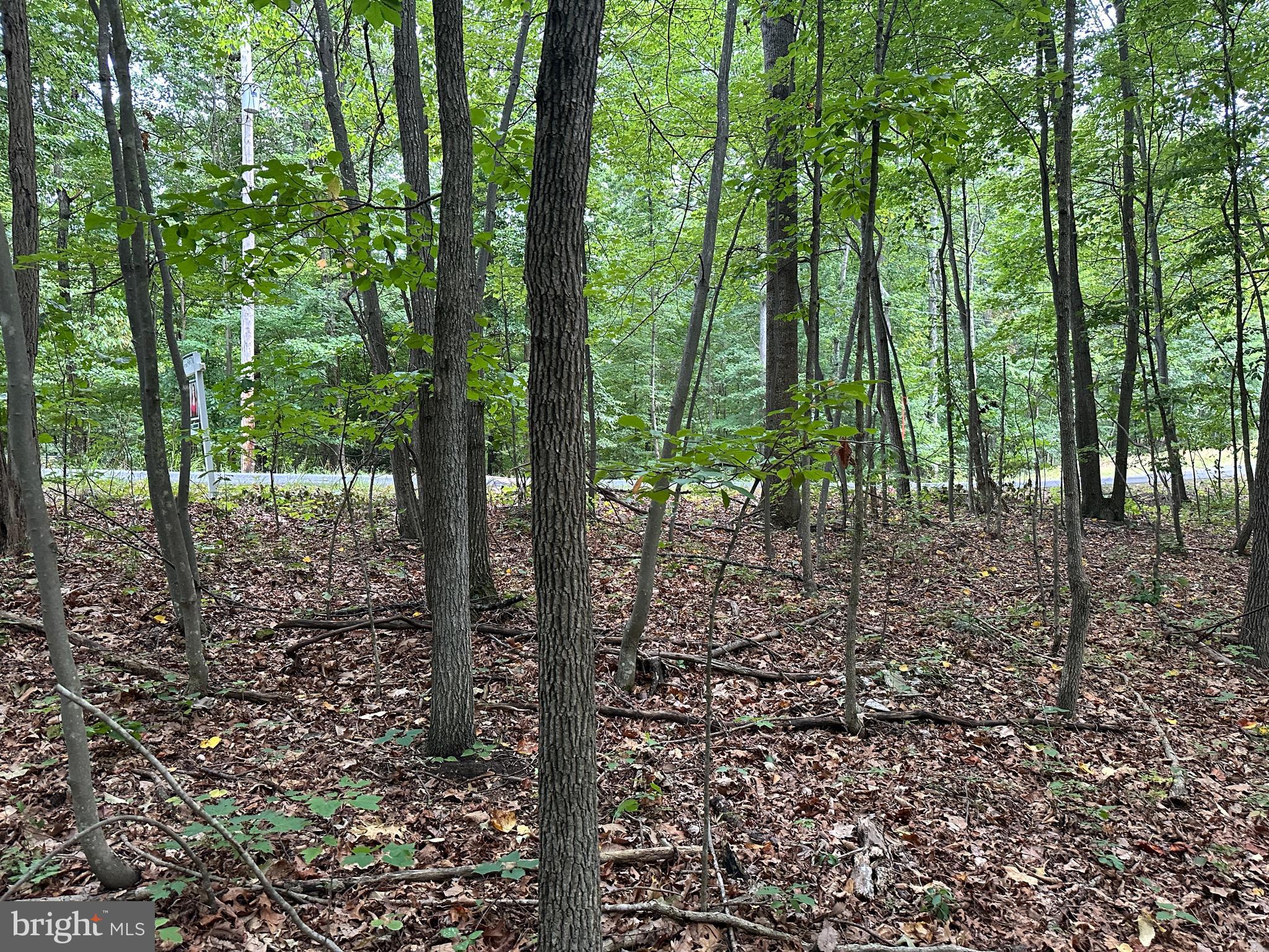 GREEN HILL FOREST - Residential