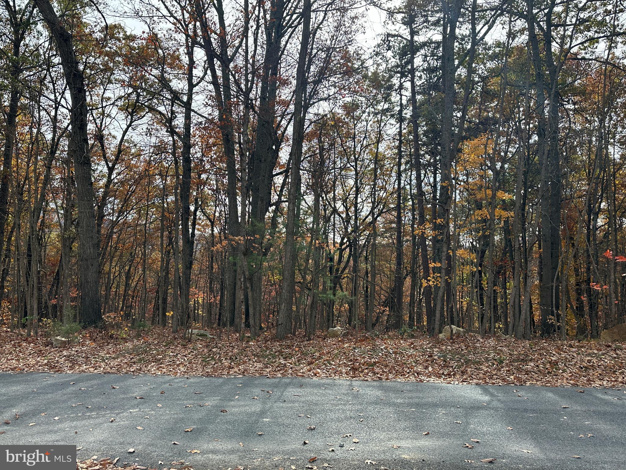 GREEN HILL FOREST - Residential