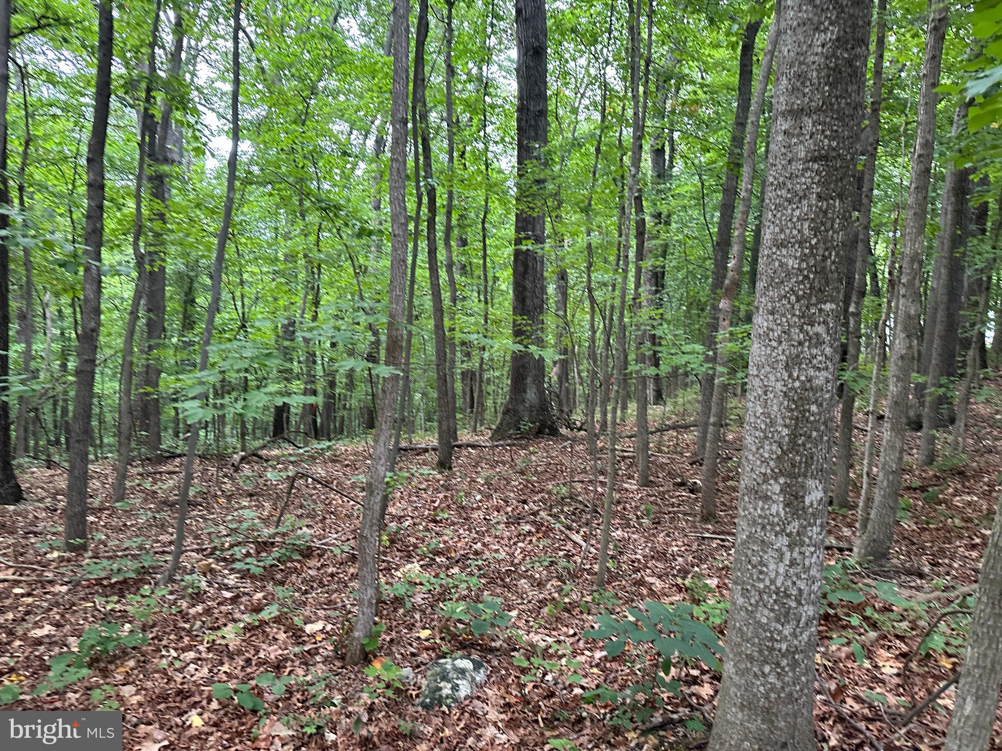 GREEN HILL FOREST - Residential