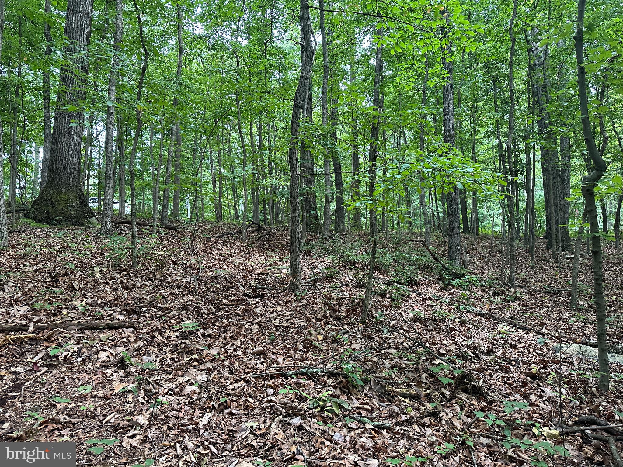 GREEN HILL FOREST - Residential