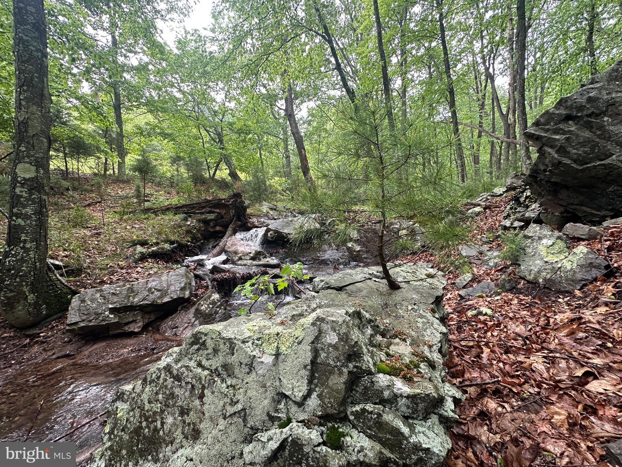 TROUT PASS - Residential