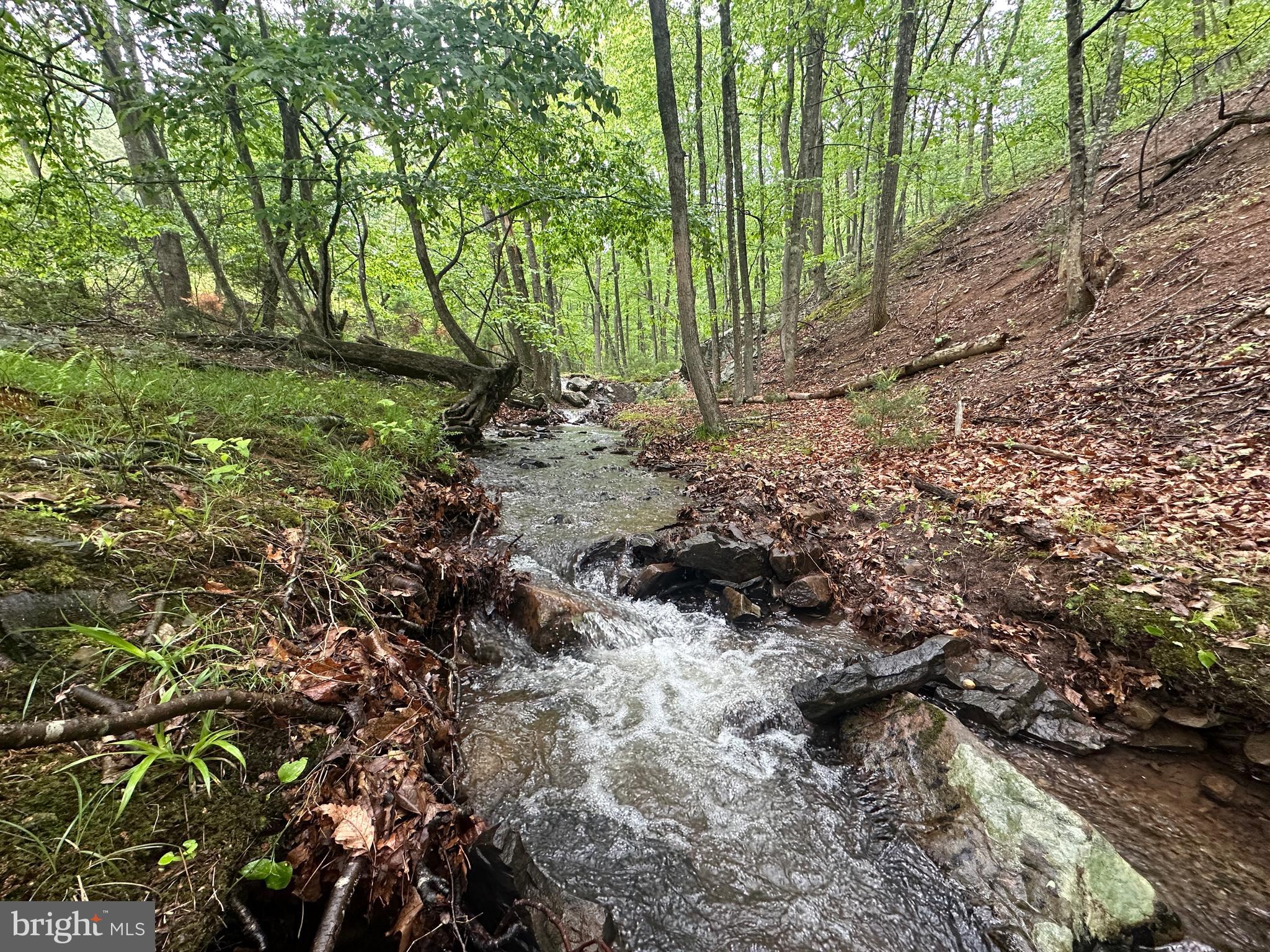 TROUT PASS - Residential