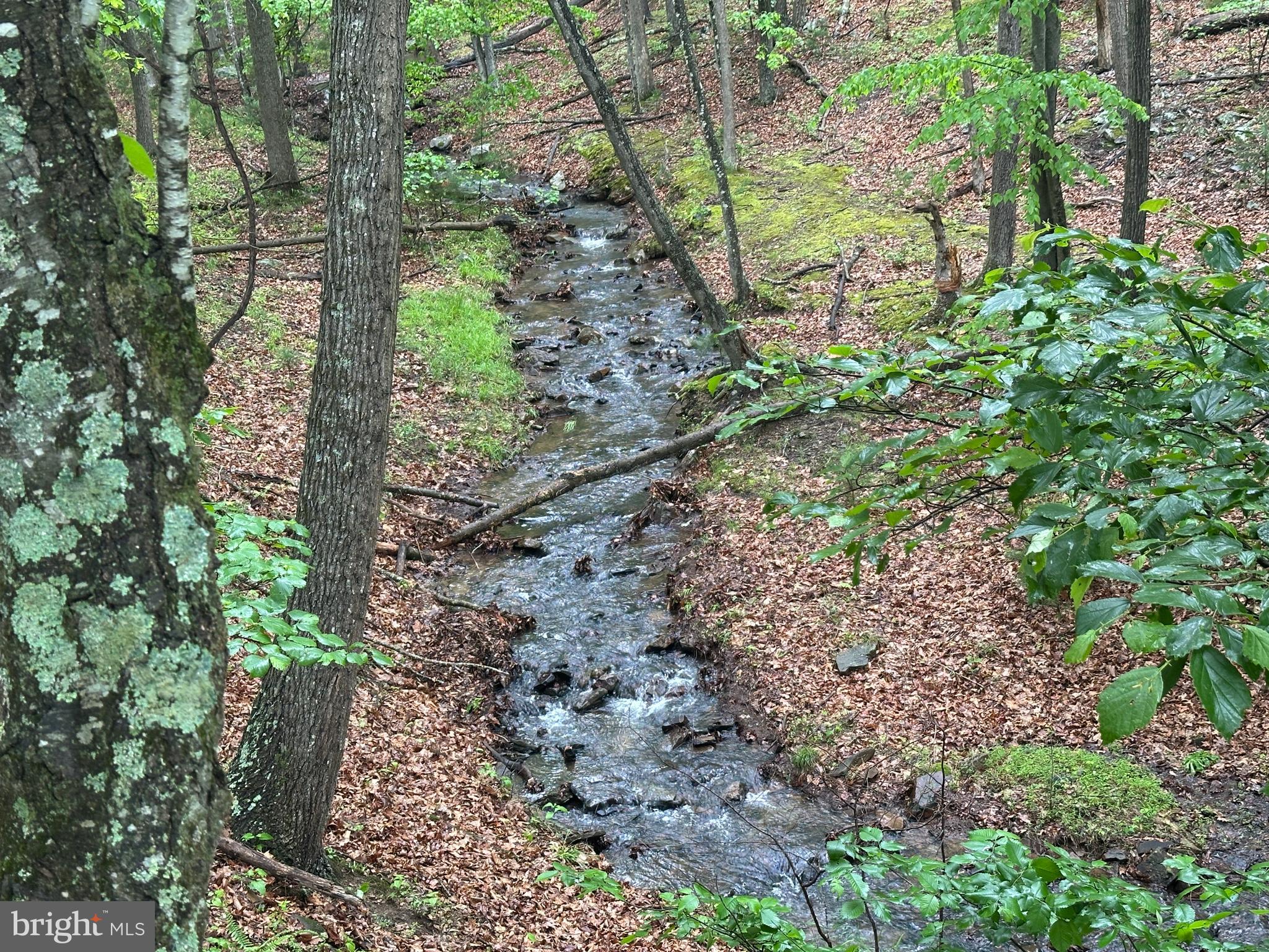 TROUT PASS - Residential