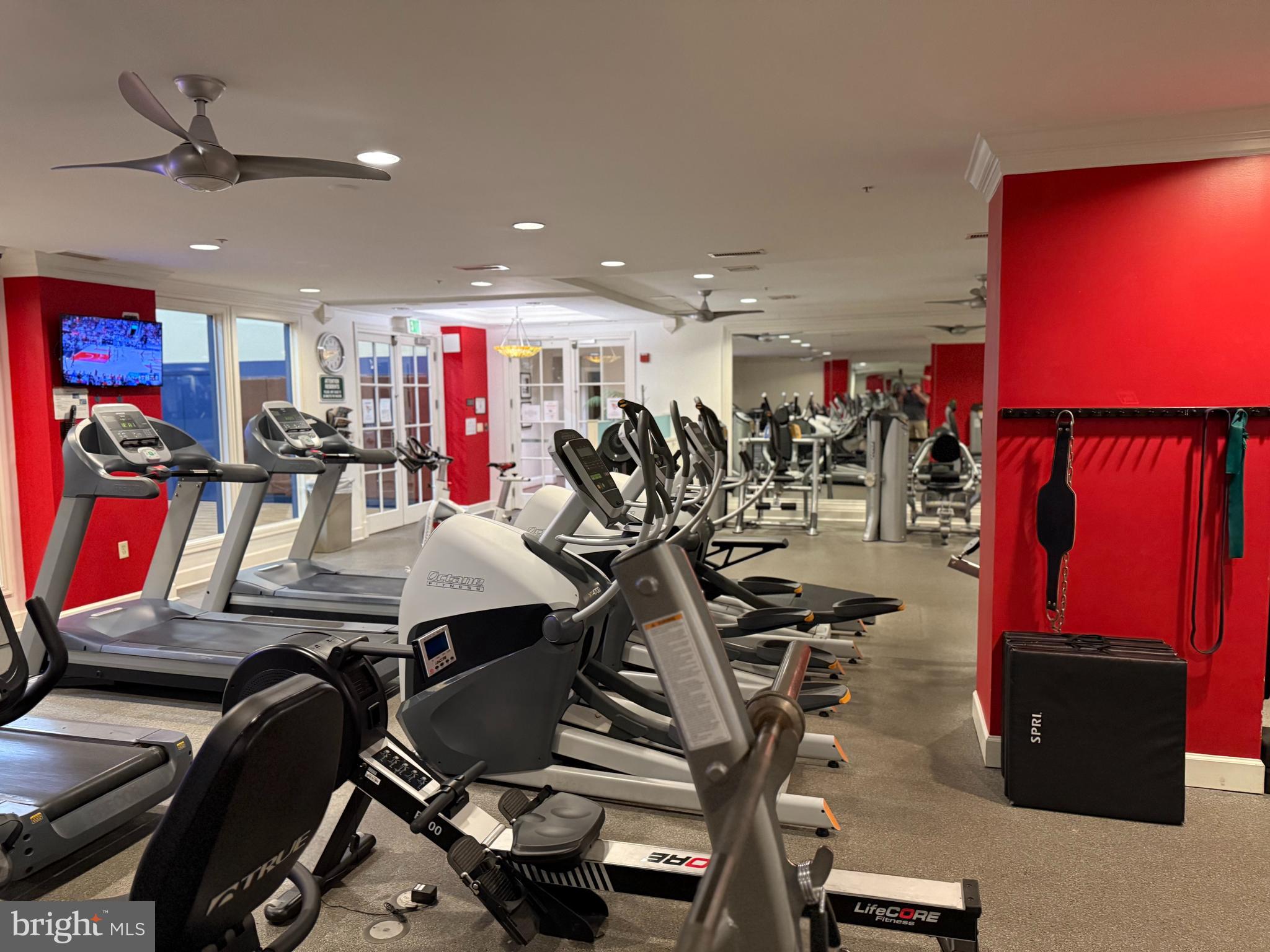 HALSTEAD AT THE METRO II - Residential