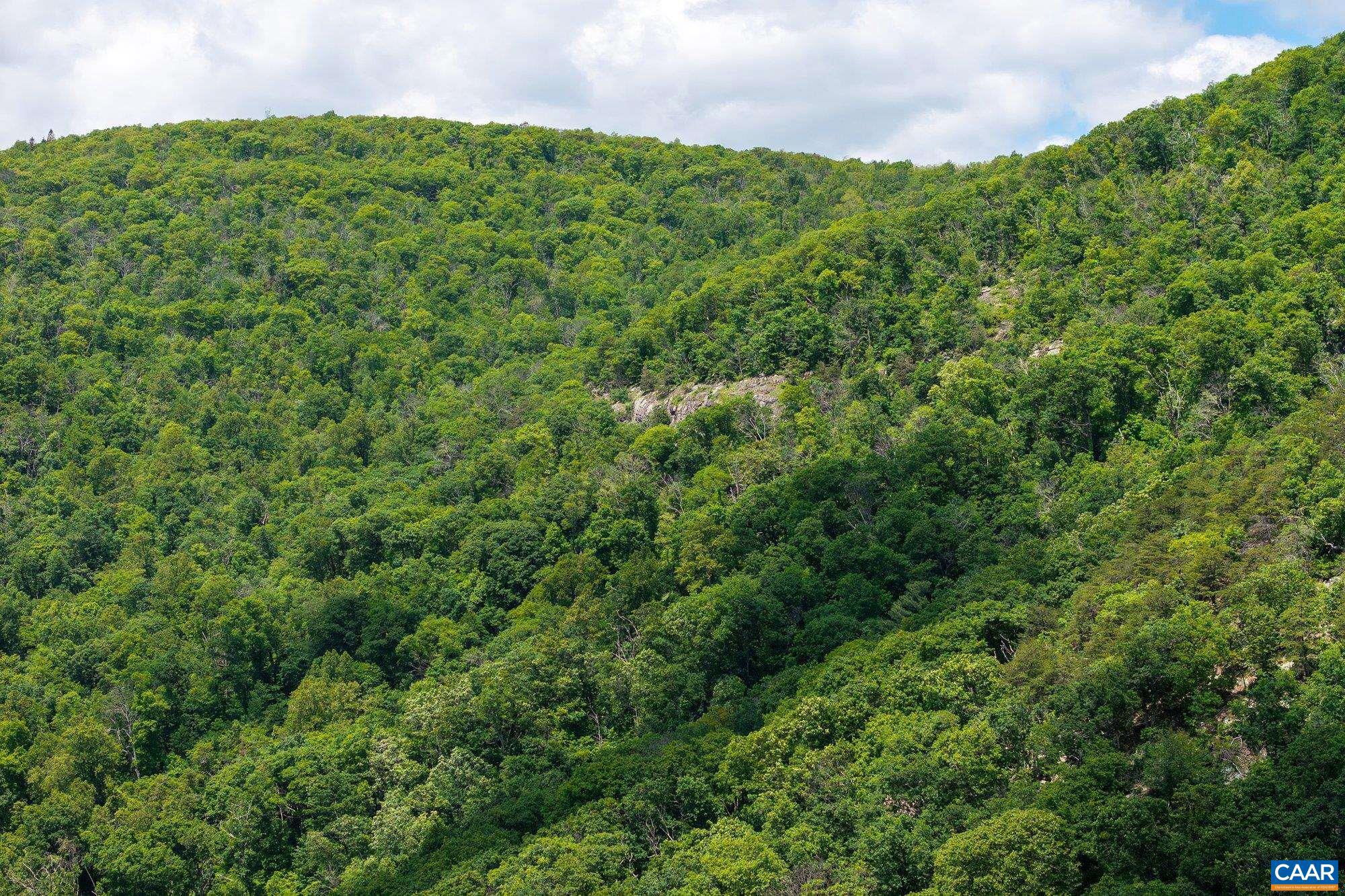 0 SADDLE HOLLOW RD
