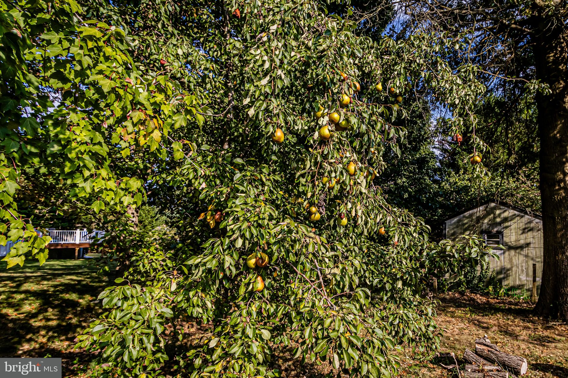 ARUNDEL - Residential