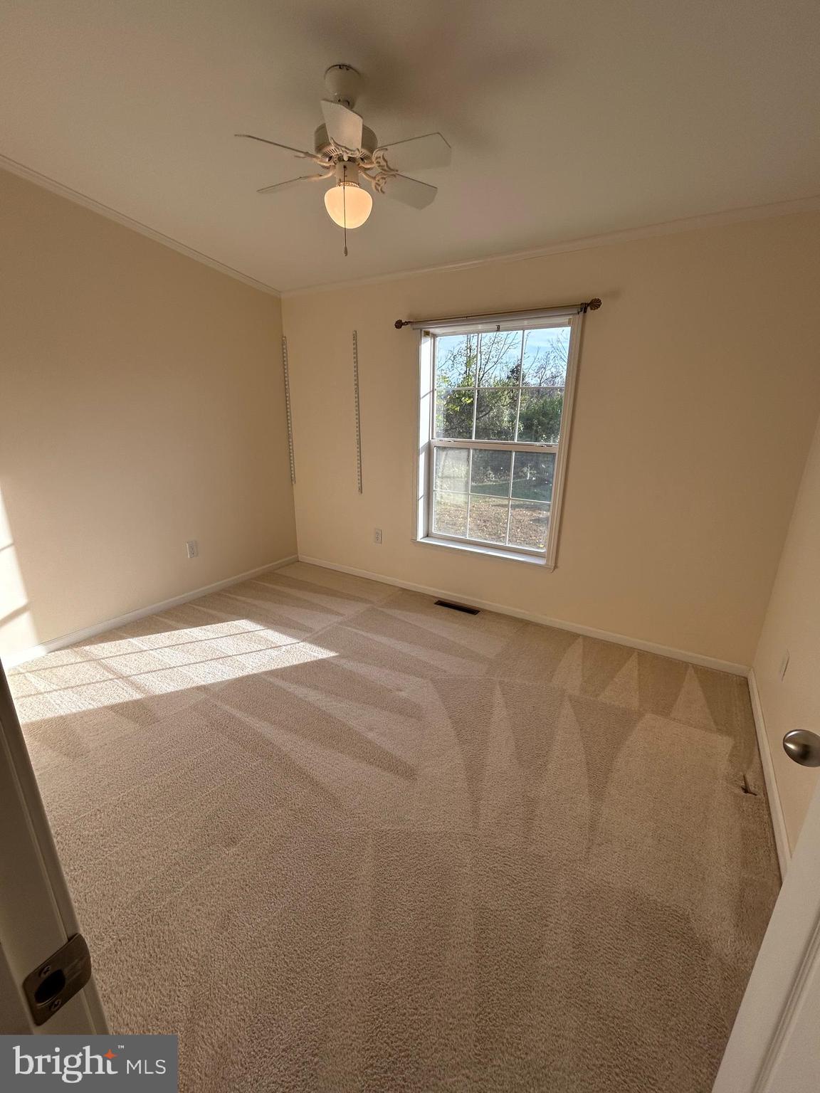 DOUGLASS VILLAGE - Residential