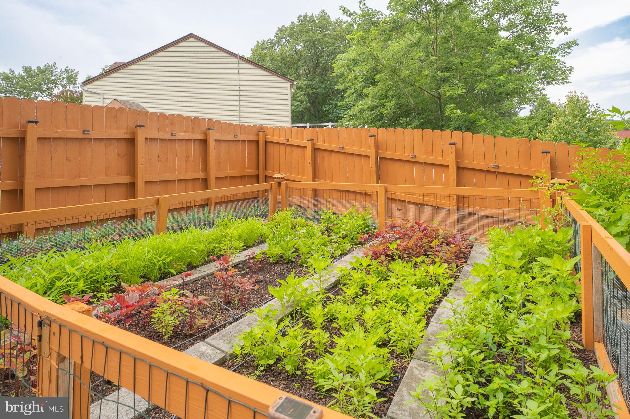 GOLDEN TREE - Residential