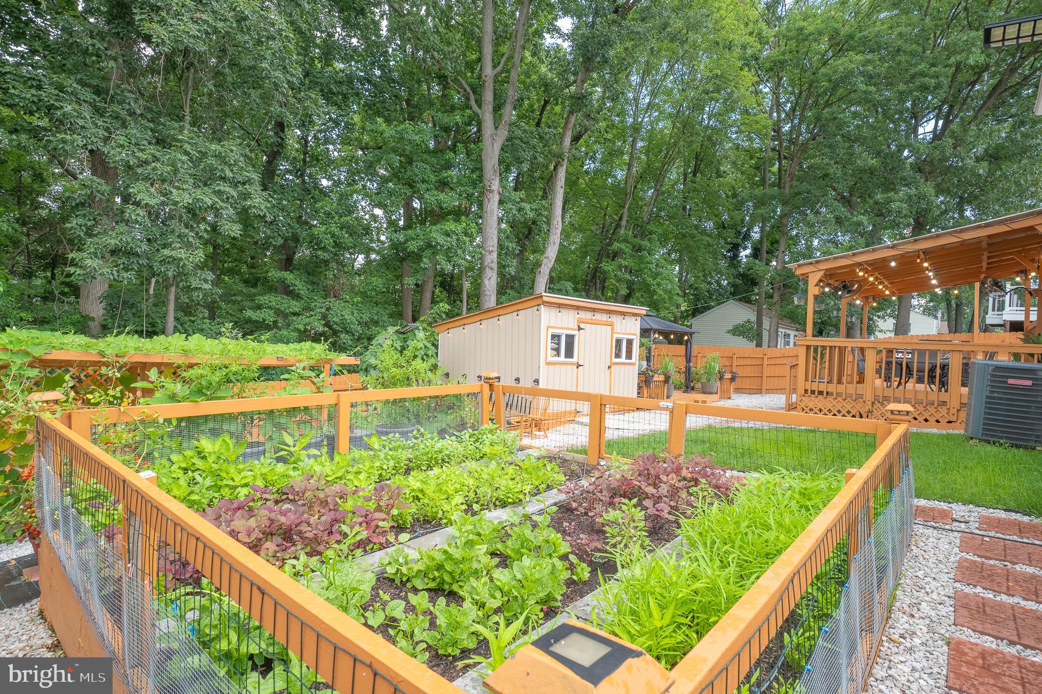 GOLDEN TREE - Residential