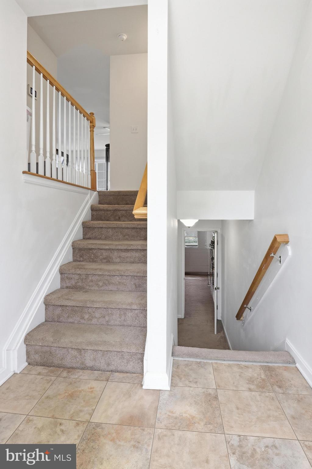 CANNON MILLS - Residential