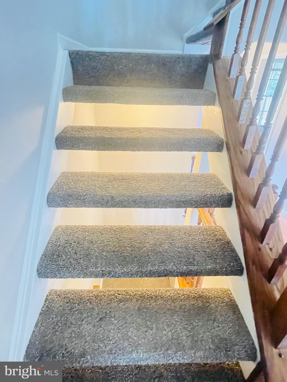 SADDLE CREEK - Residential Lease