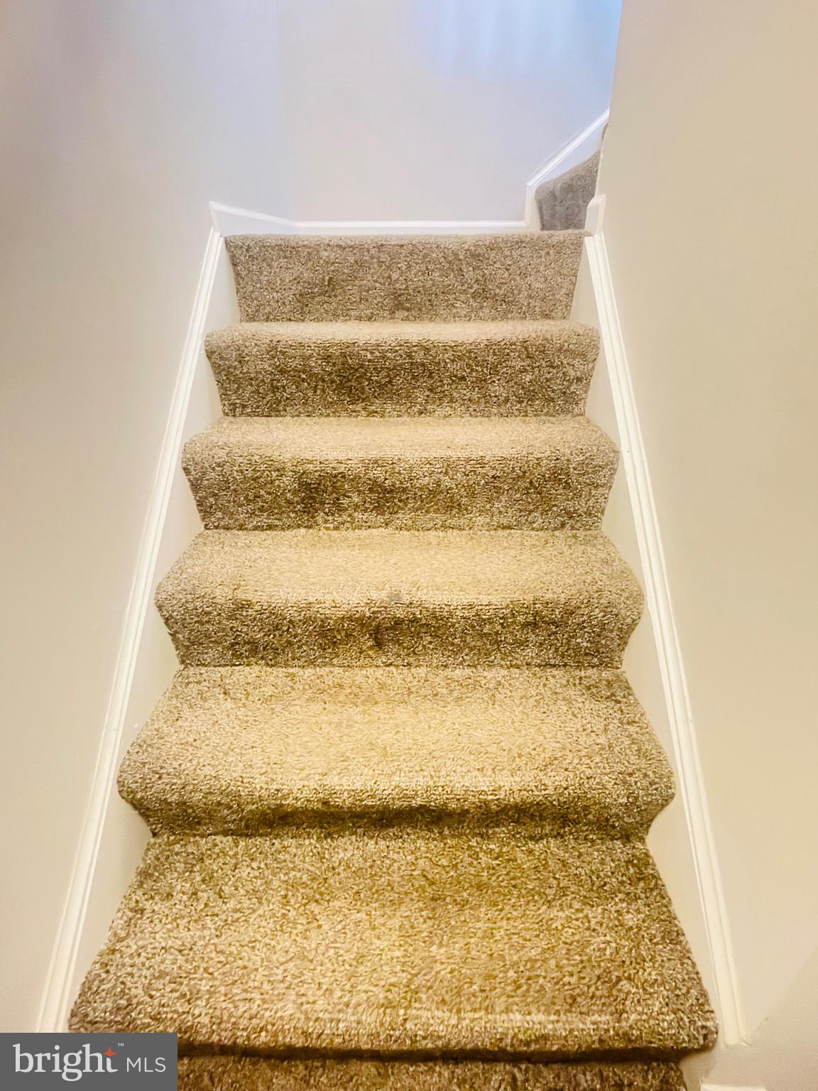 SADDLE CREEK - Residential Lease