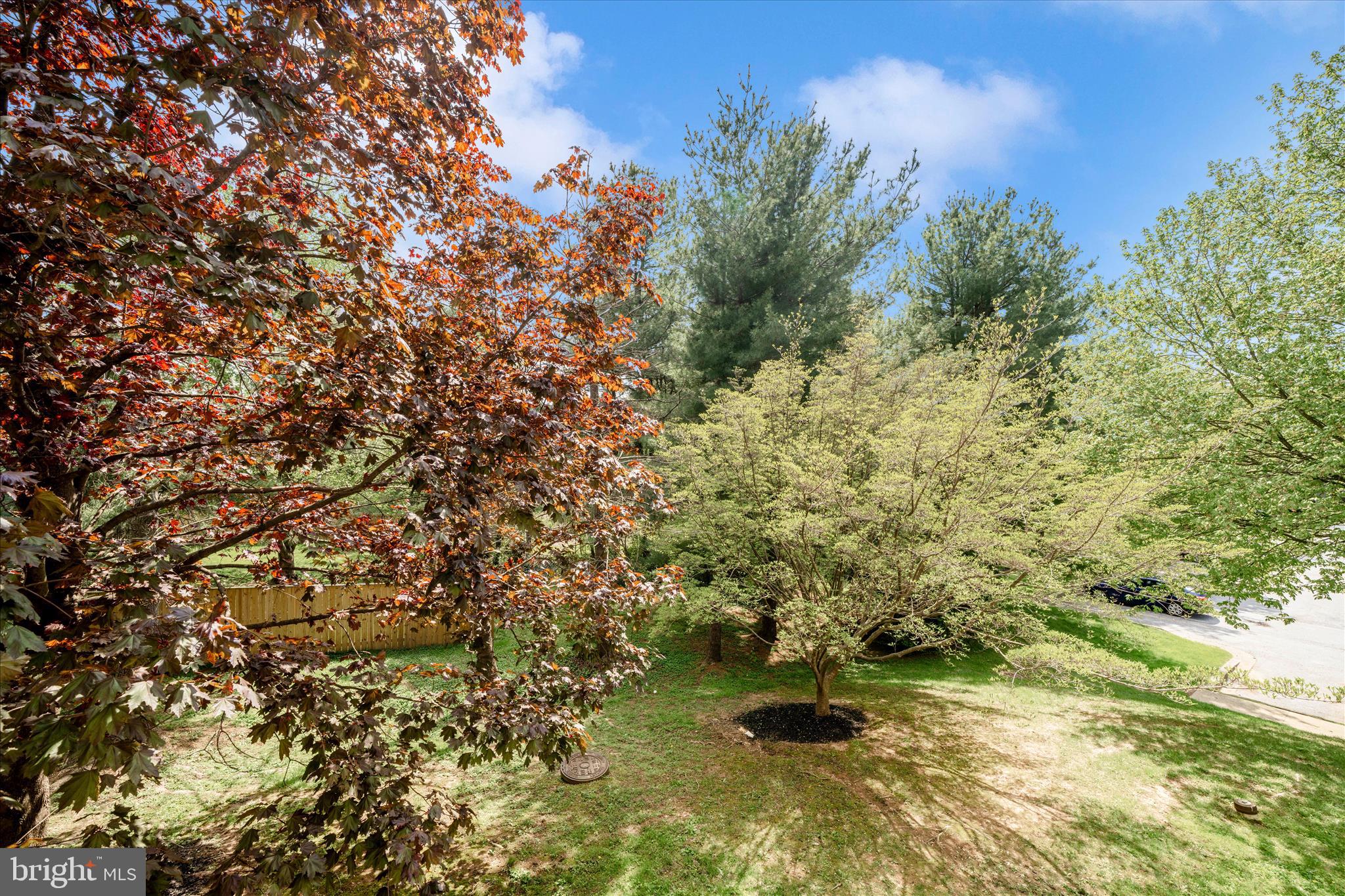 BRANDYWINE STATION - Residential