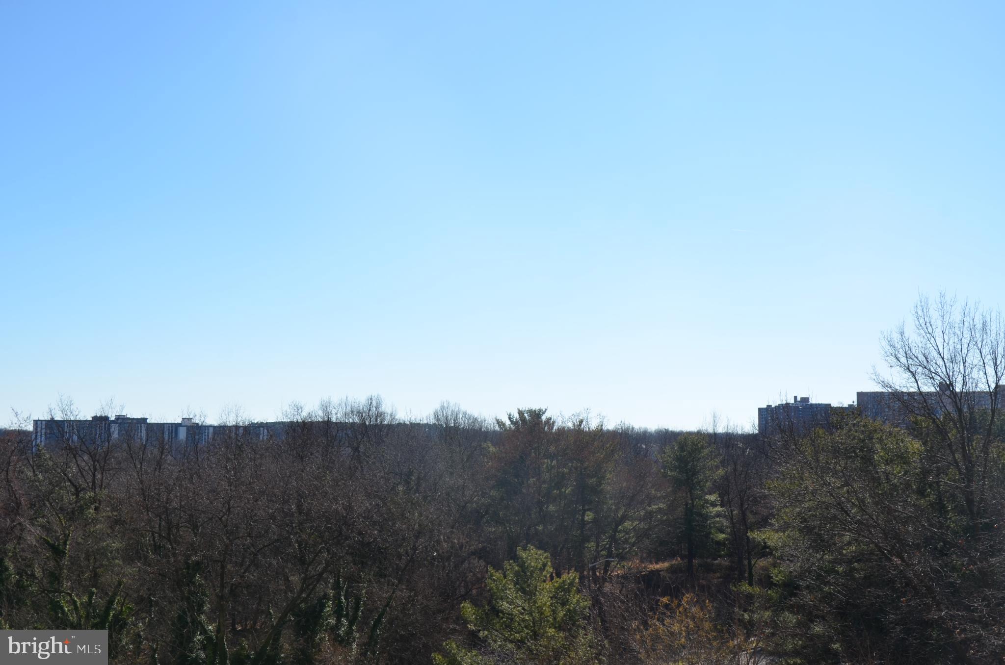 SKYLINE PLAZA - Residential