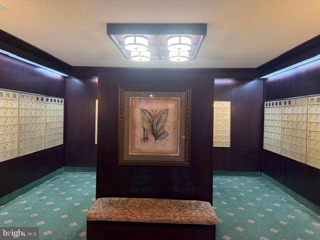 SKYLINE PLAZA - Residential