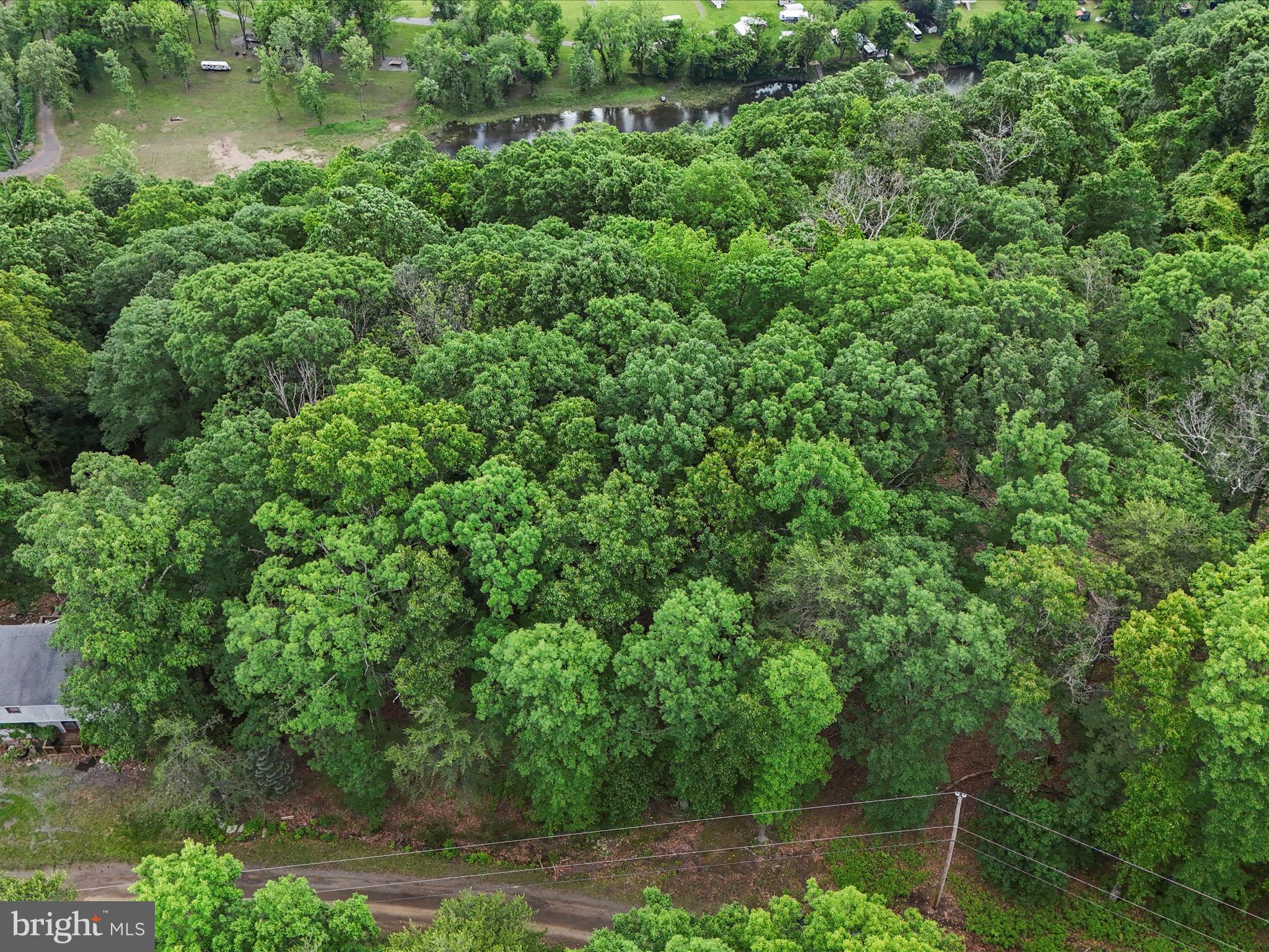 POTOMAC ISLAND RIDGE - Land