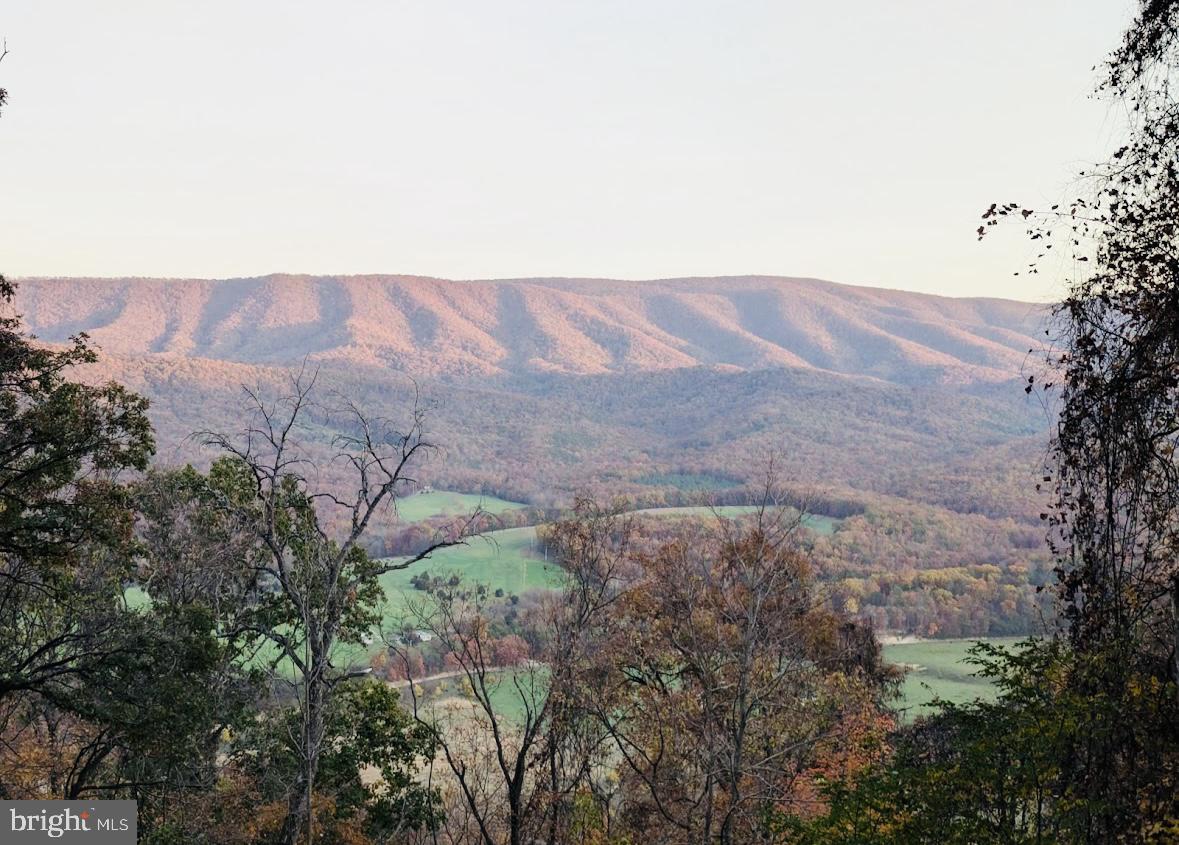 POTOMAC ISLAND RIDGE - Land