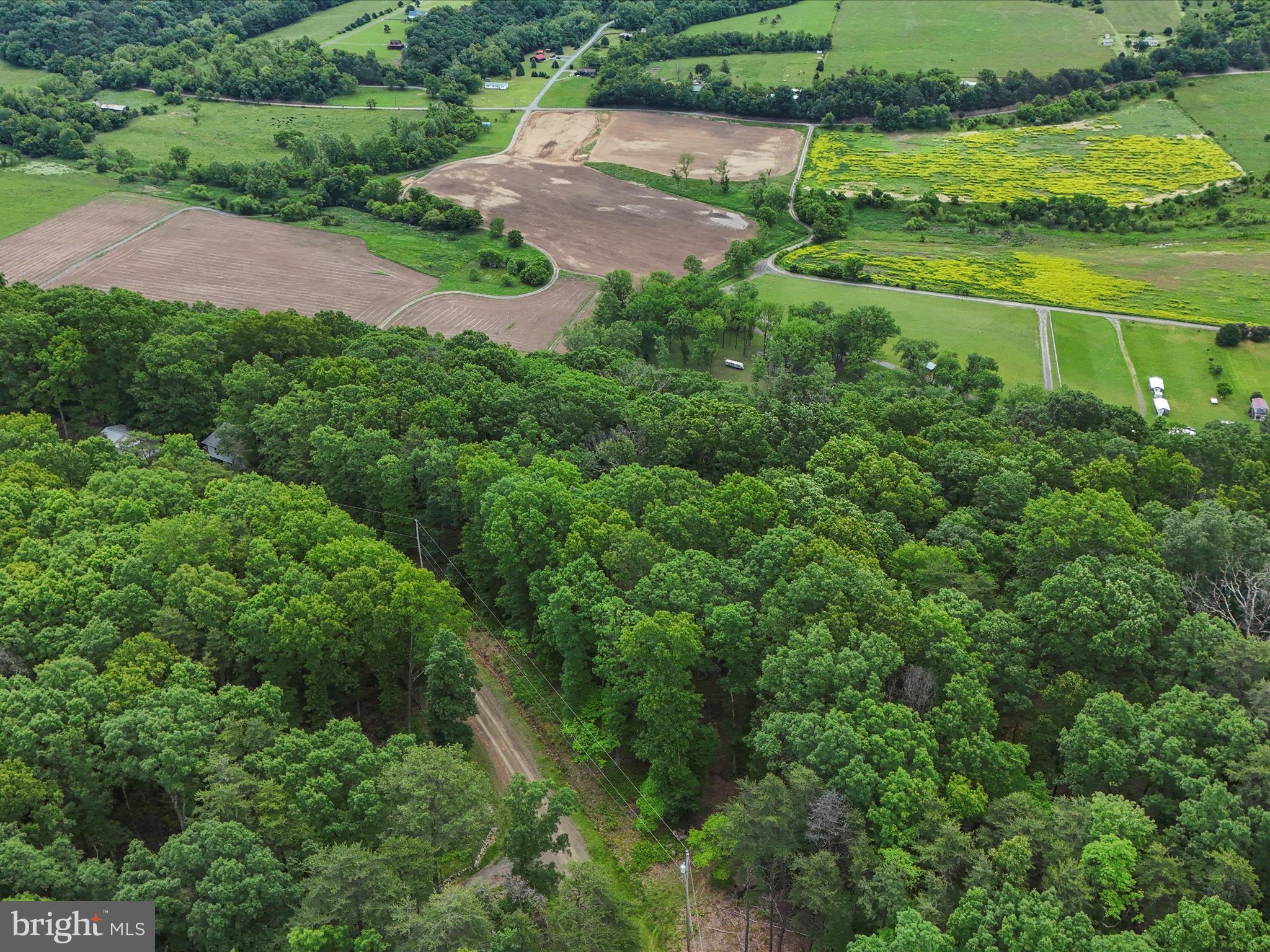 POTOMAC ISLAND RIDGE - Land