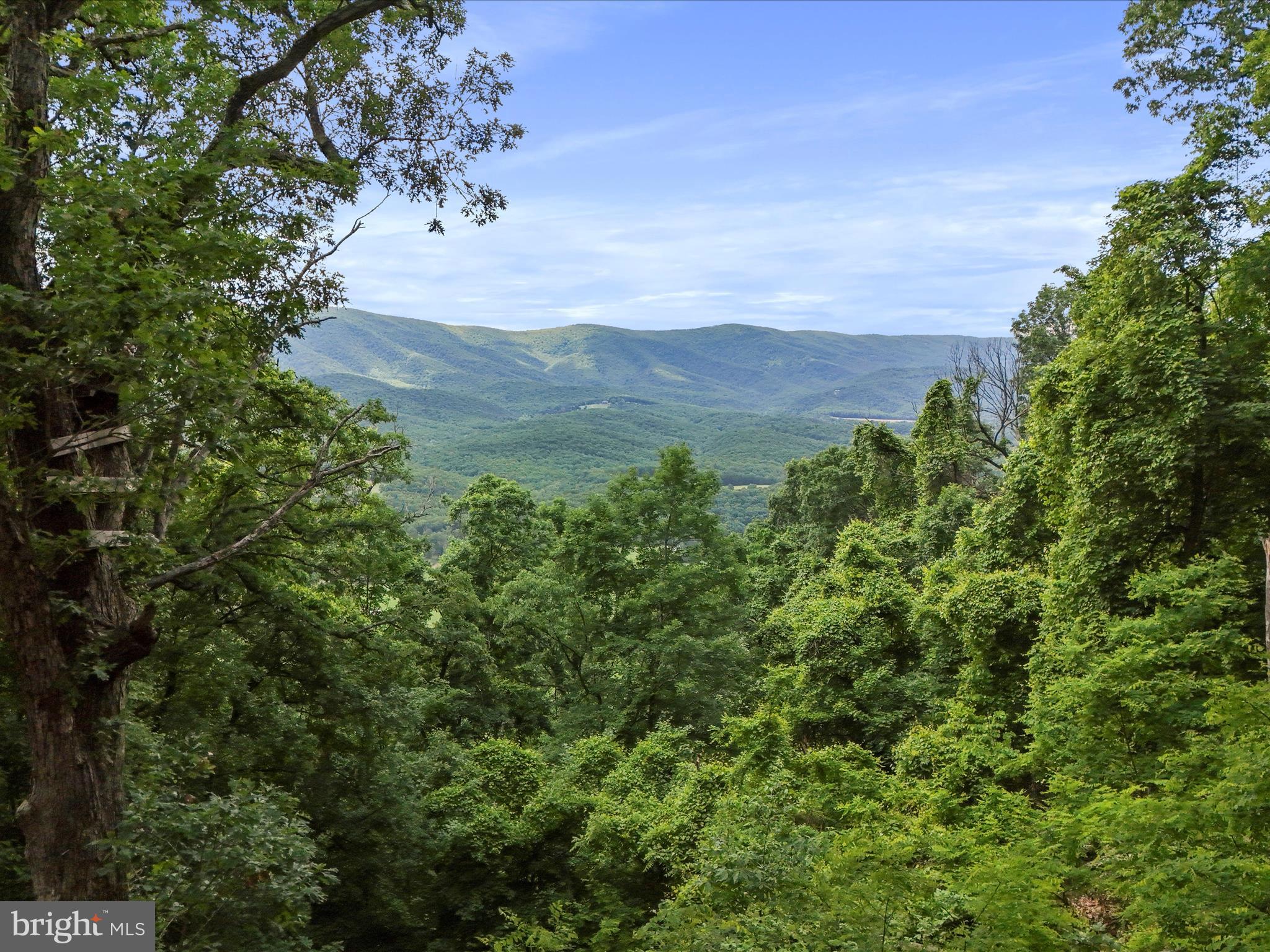 POTOMAC ISLAND RIDGE - Land