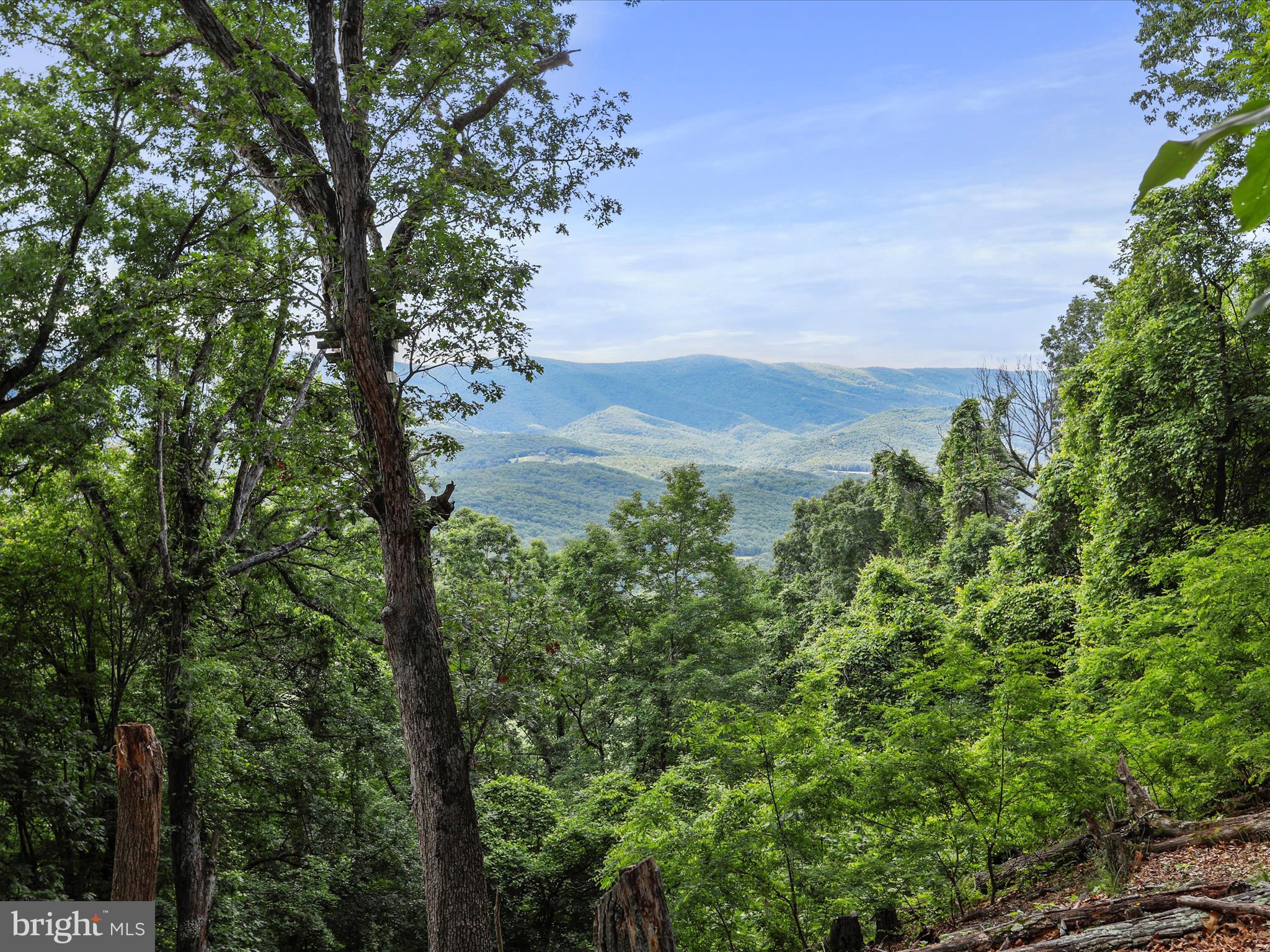 POTOMAC ISLAND RIDGE - Land