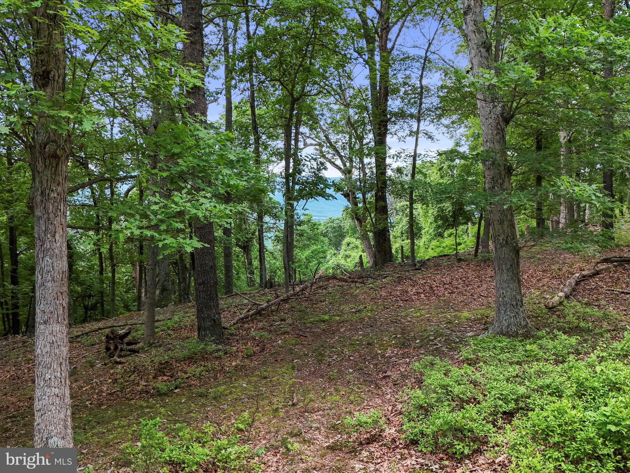 POTOMAC ISLAND RIDGE - Land