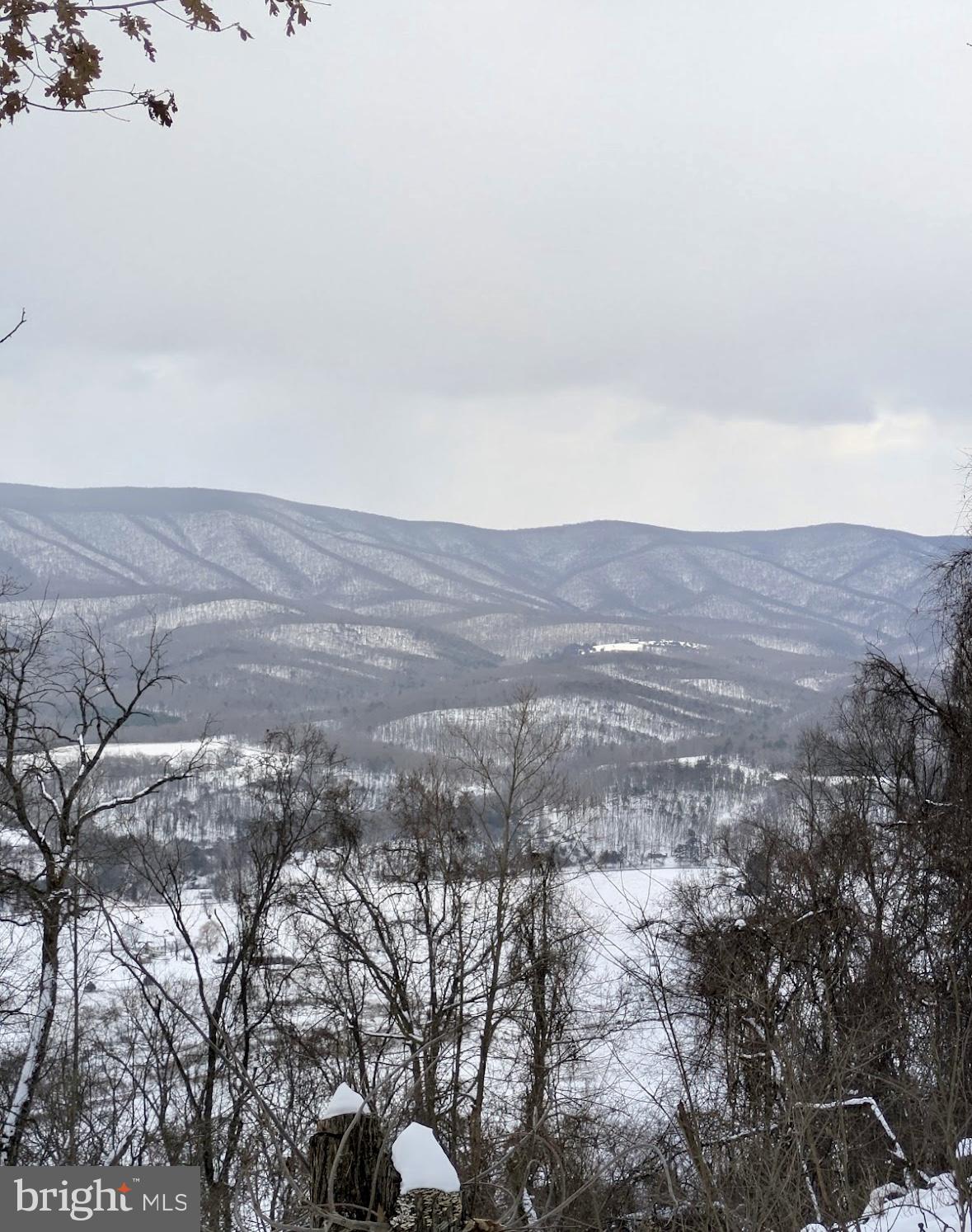 POTOMAC ISLAND RIDGE - Land