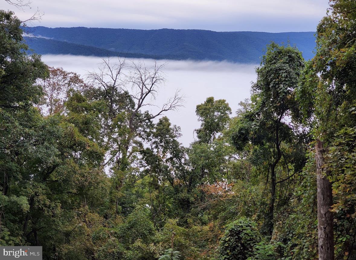 POTOMAC ISLAND RIDGE - Land