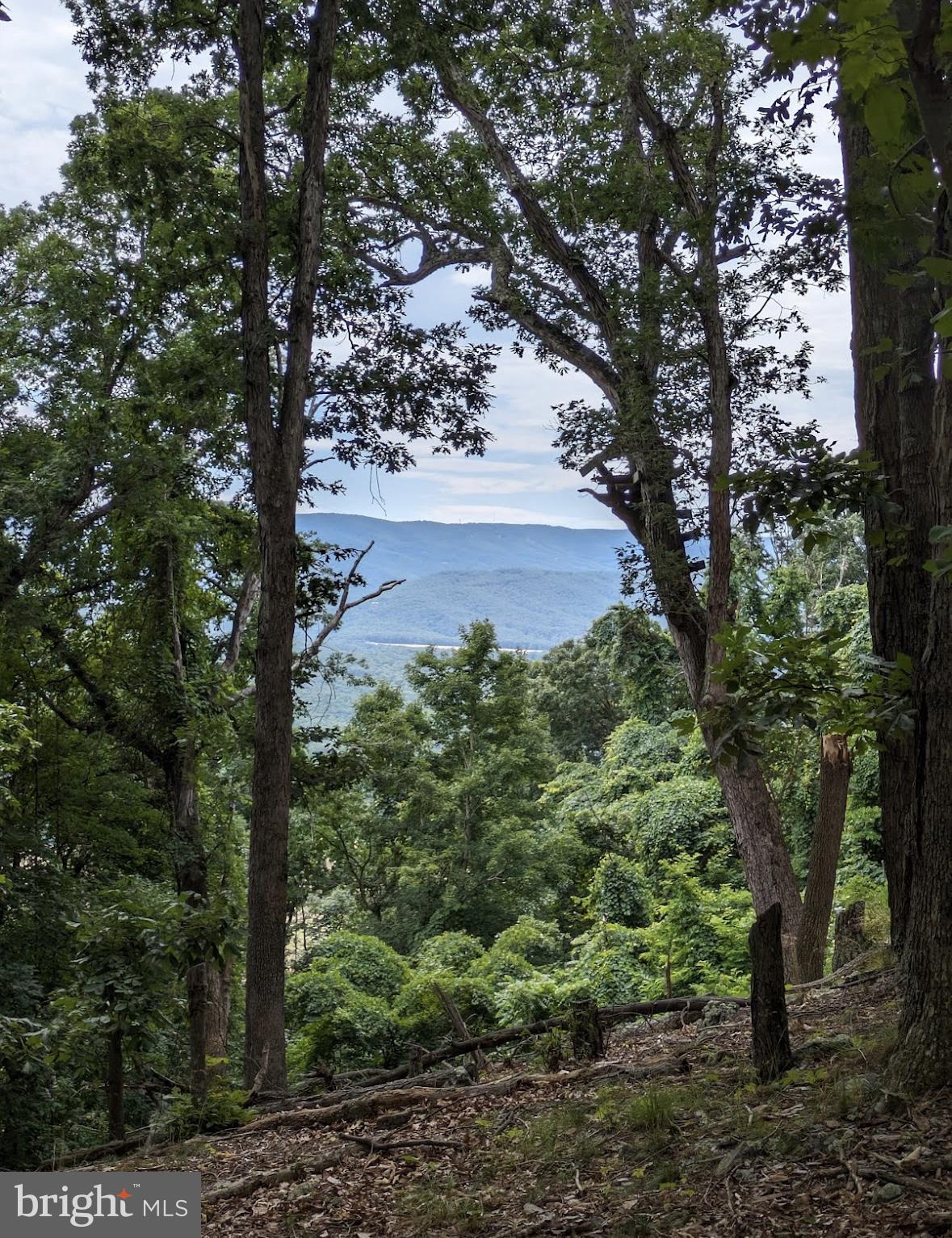 POTOMAC ISLAND RIDGE - Land