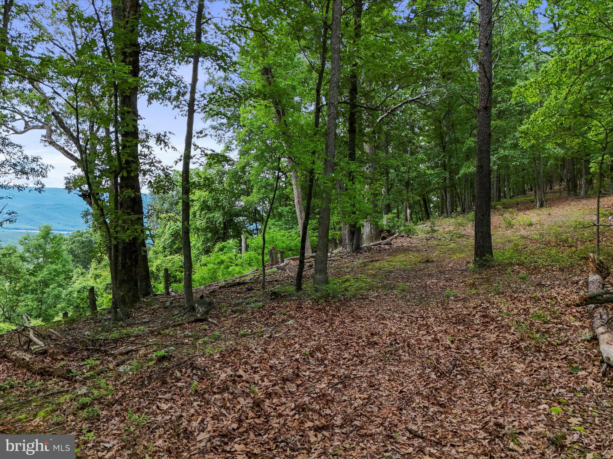 POTOMAC ISLAND RIDGE - Land