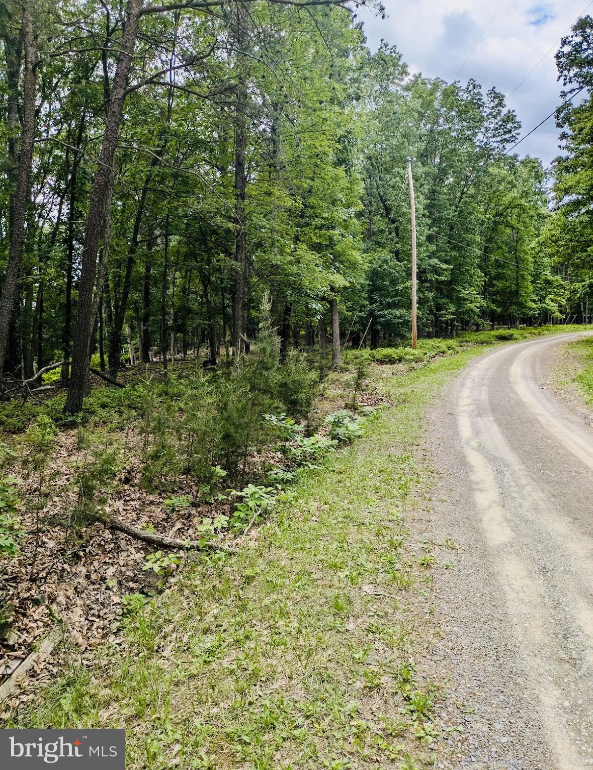 POTOMAC ISLAND RIDGE - Land