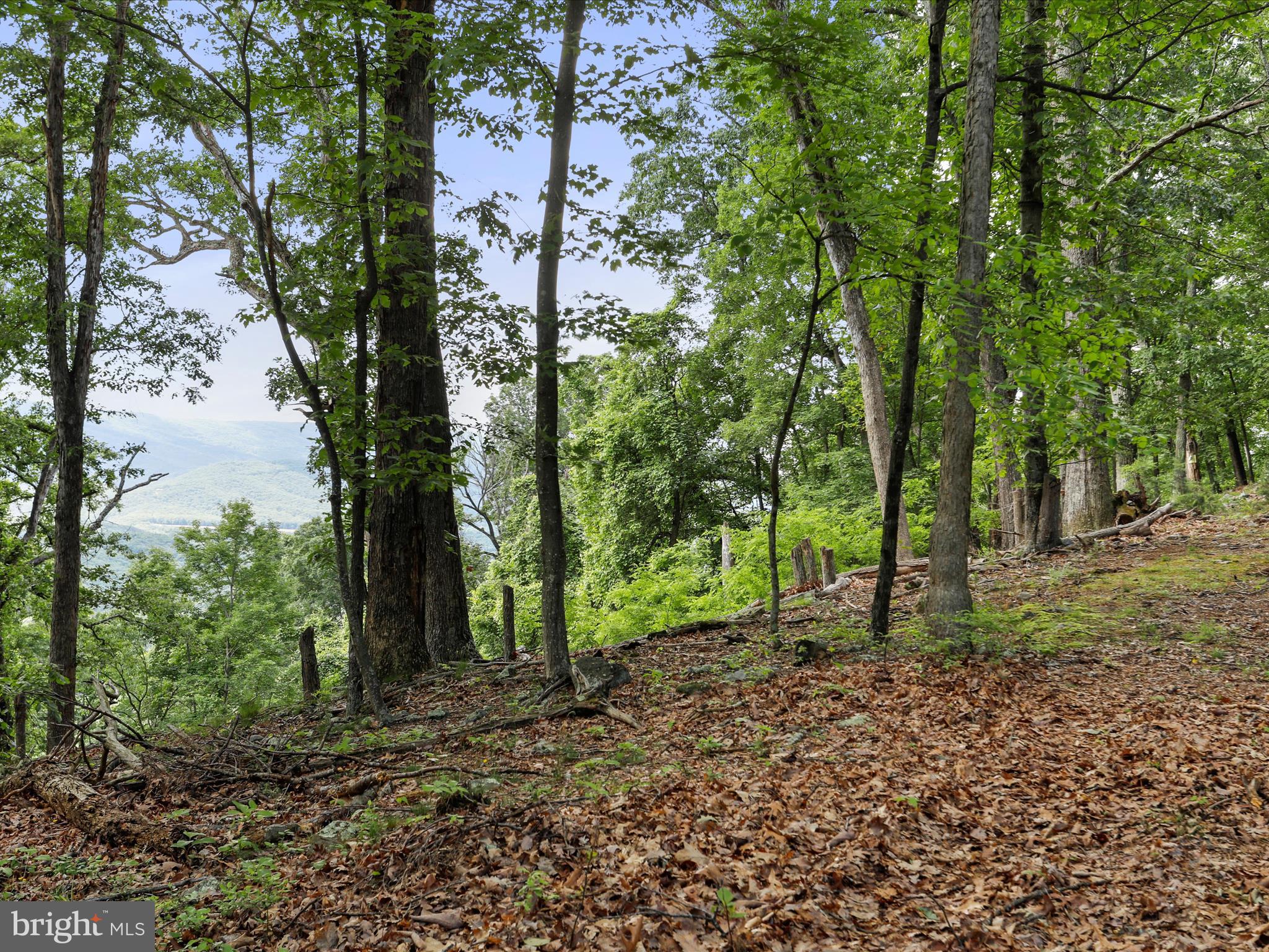 POTOMAC ISLAND RIDGE - Land