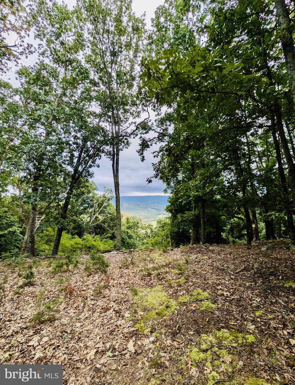 POTOMAC ISLAND RIDGE - Land