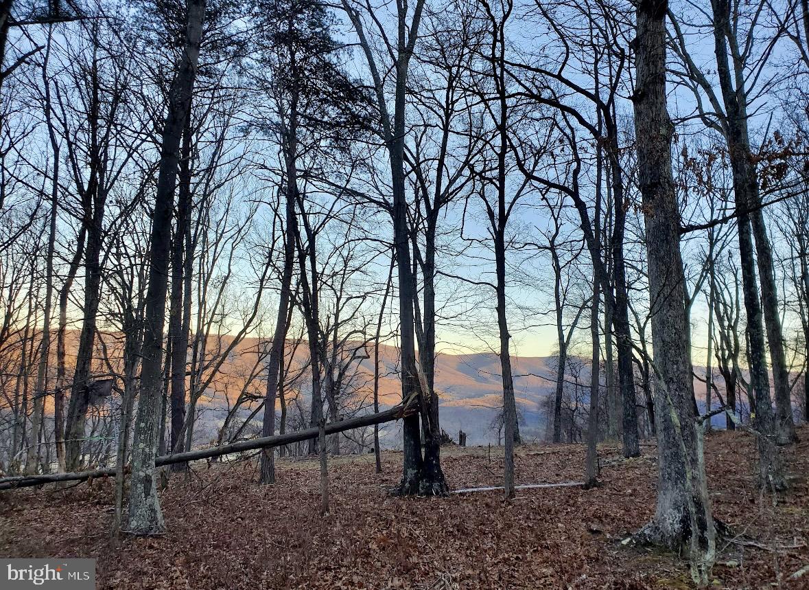 POTOMAC ISLAND RIDGE - Land