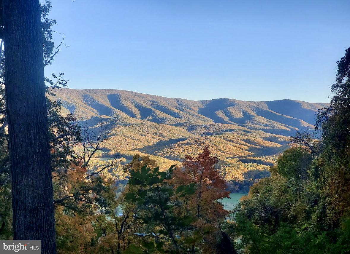 POTOMAC ISLAND RIDGE - Land