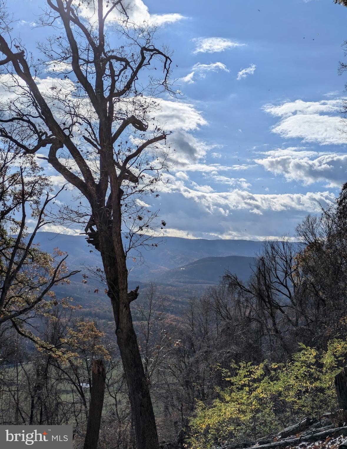 POTOMAC ISLAND RIDGE - Land