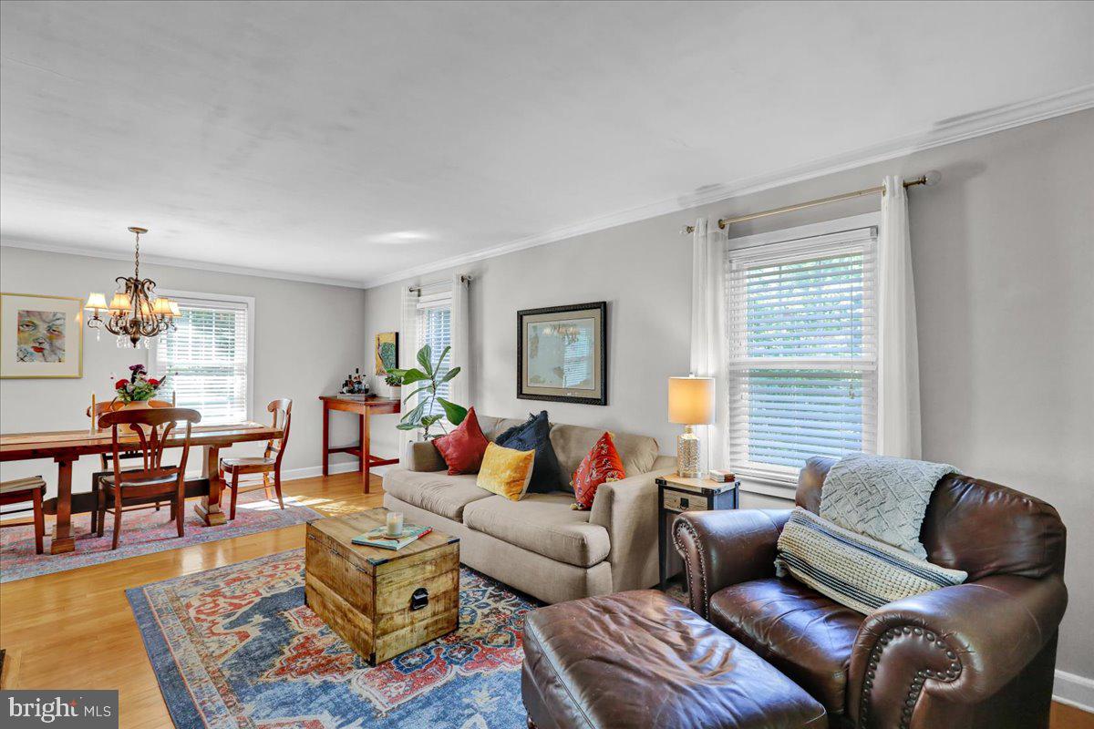 HAMILTON PARK - Residential