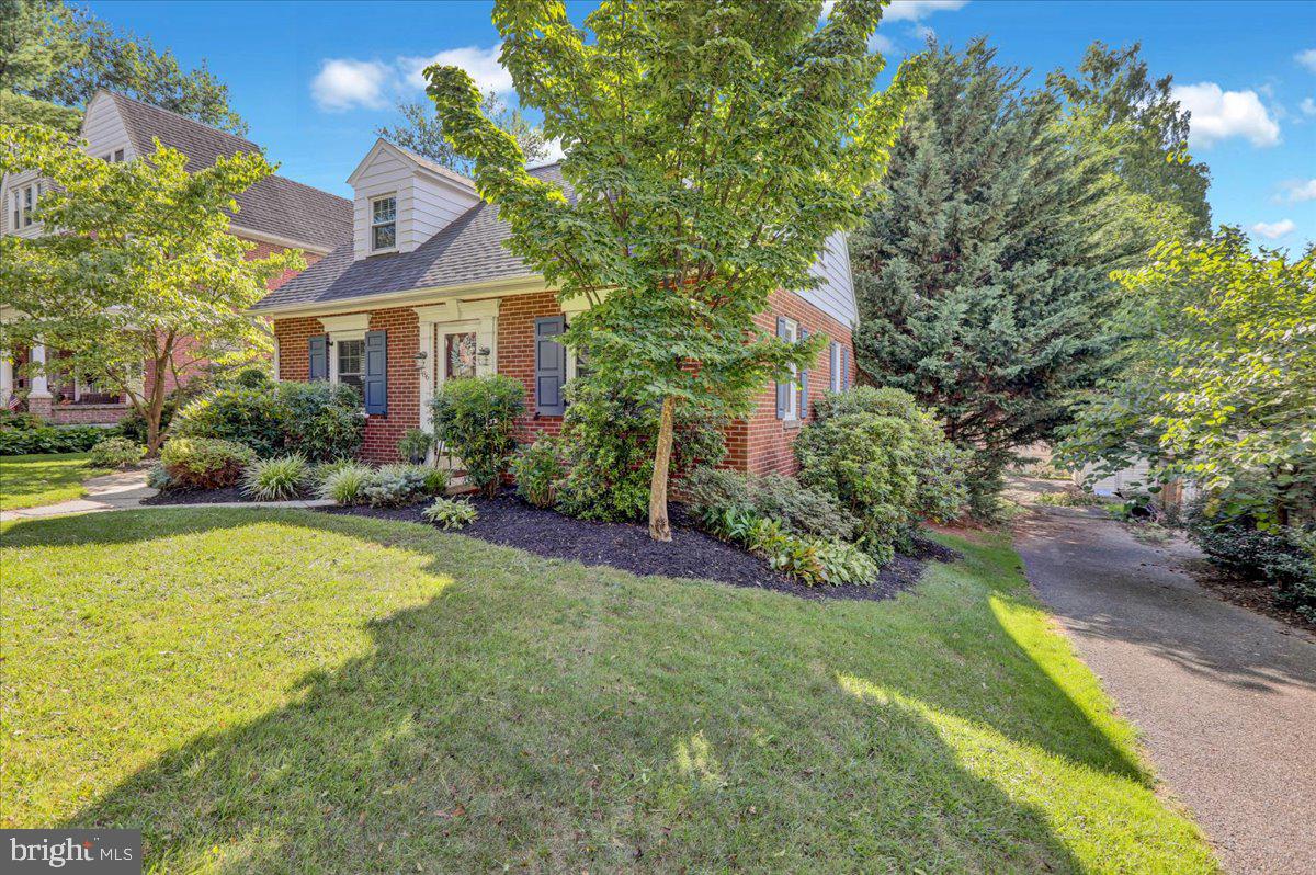 HAMILTON PARK - Residential