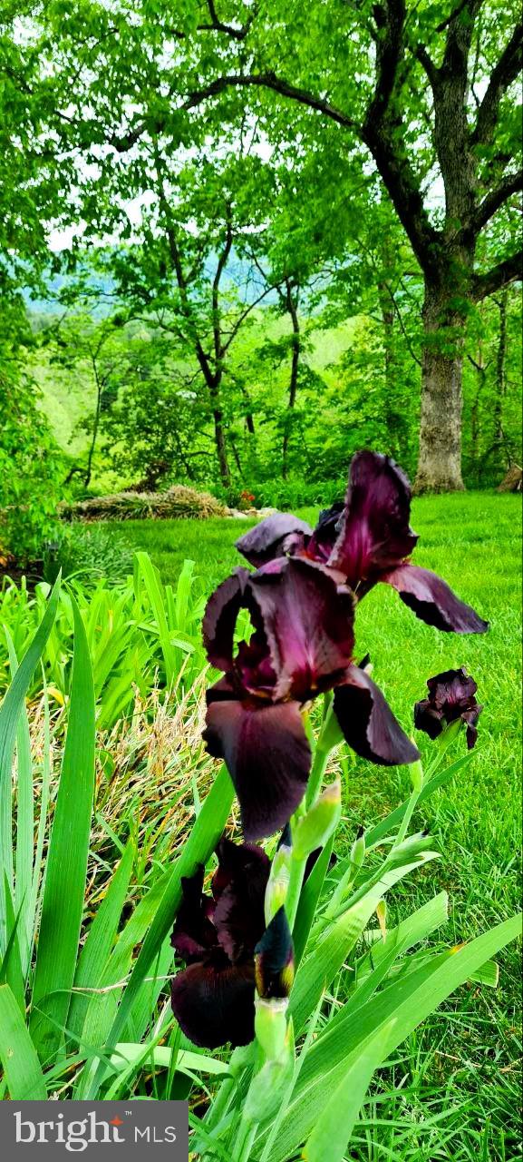 EDINBURG MANOR - Residential