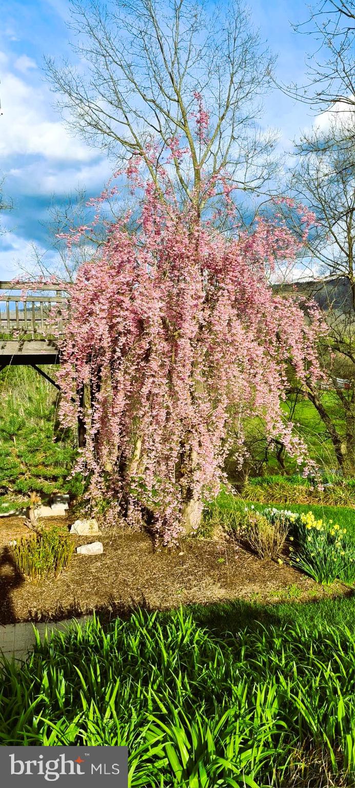 EDINBURG MANOR - Residential