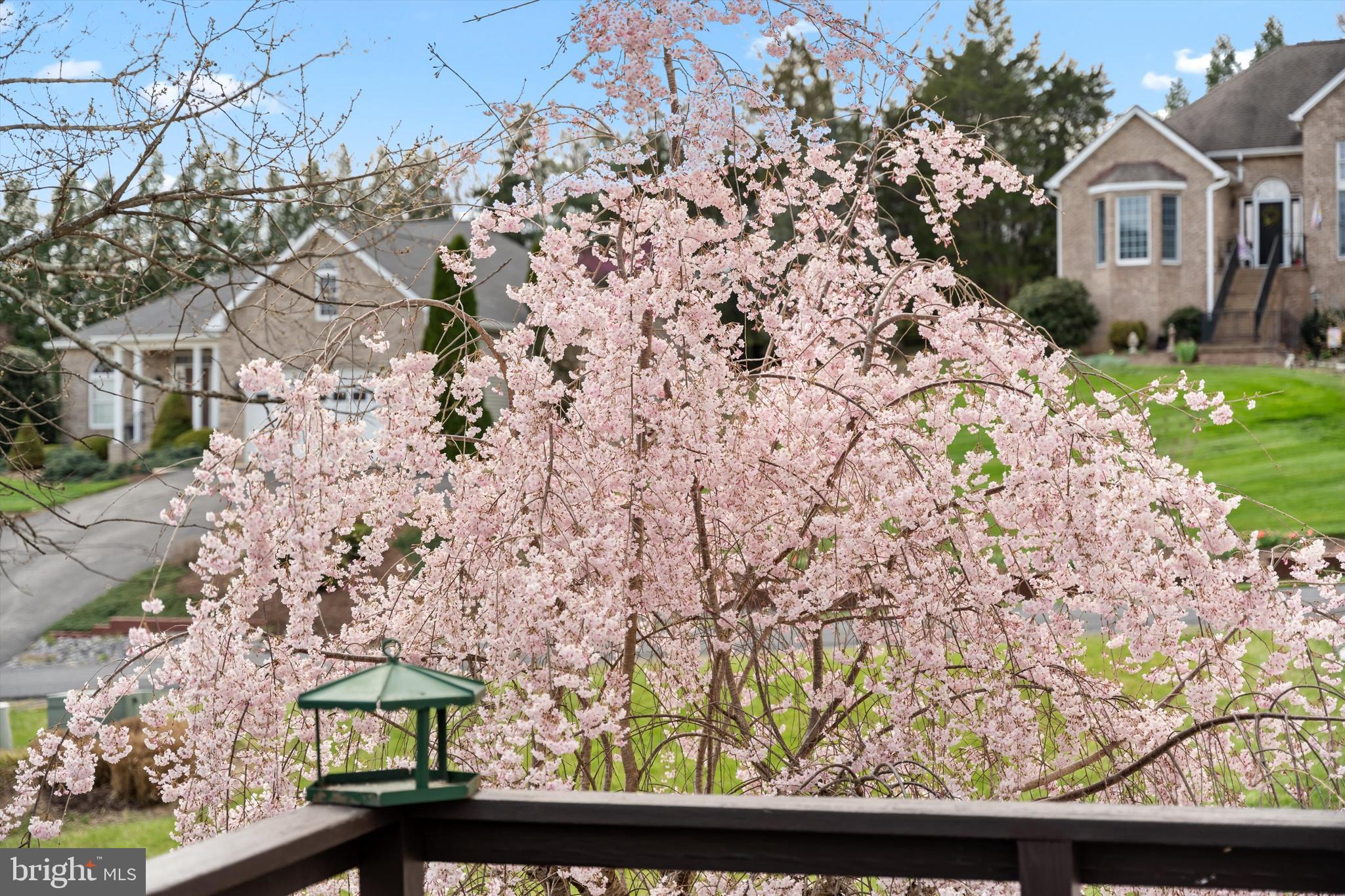 EDINBURG MANOR - Residential