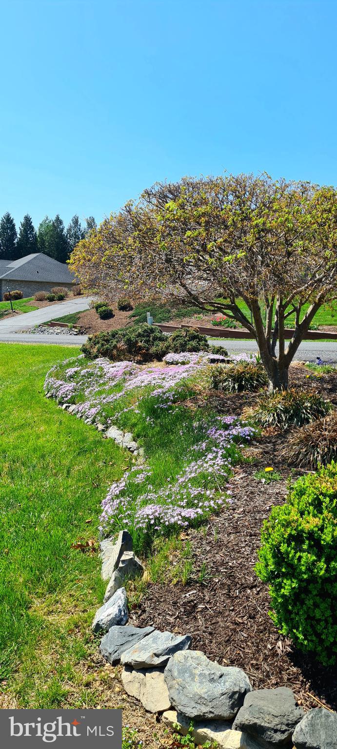 EDINBURG MANOR - Residential