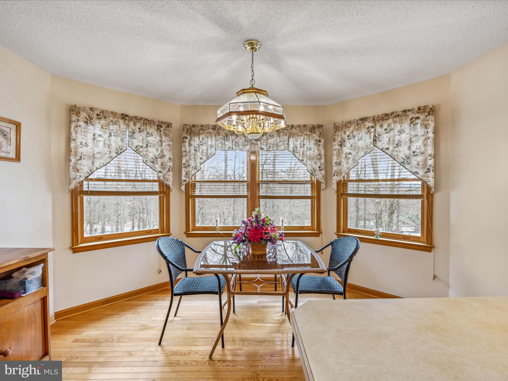 CACAPON EAST - Residential