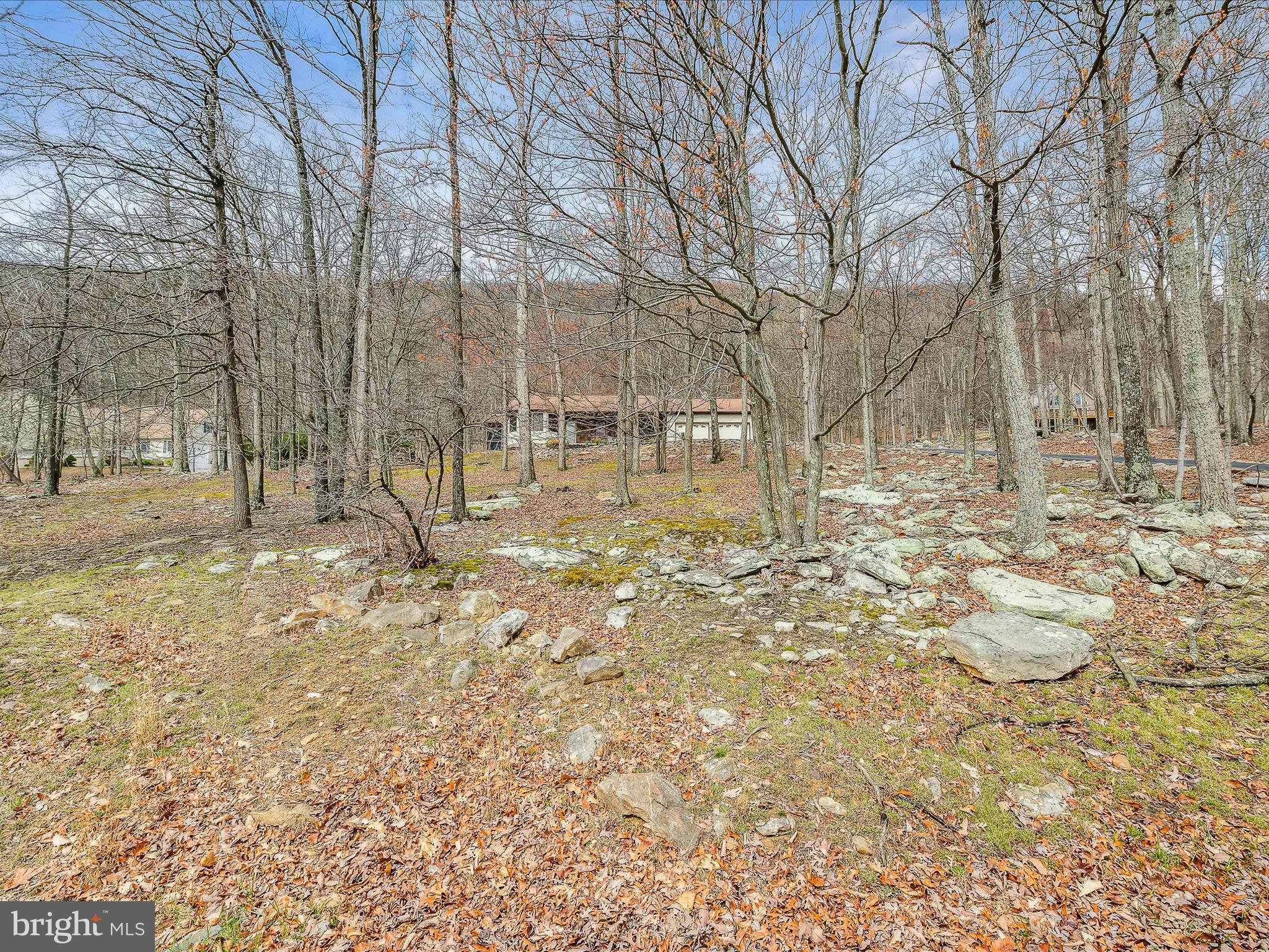 CACAPON EAST - Residential