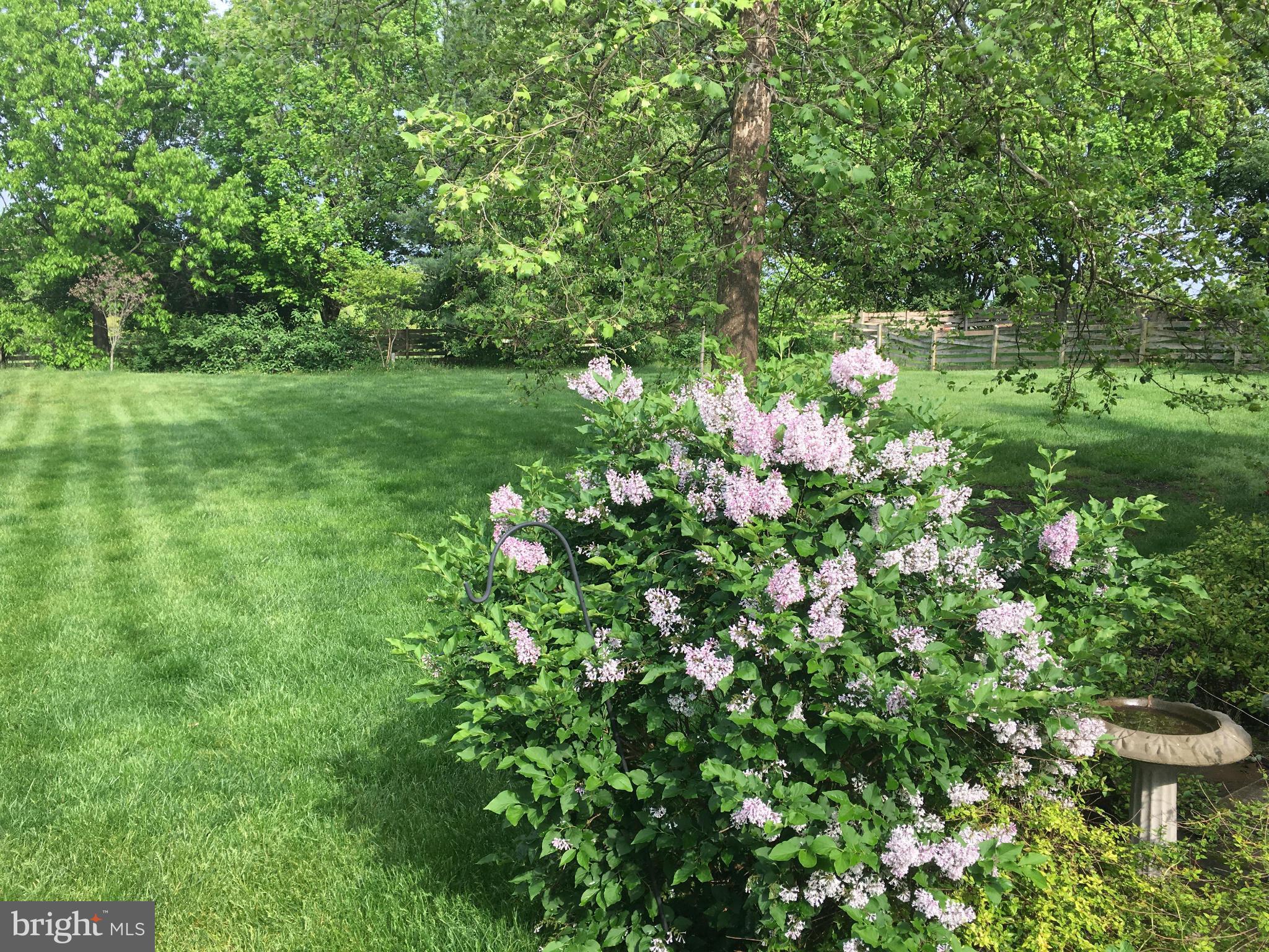 COUNTRYSIDE - Residential