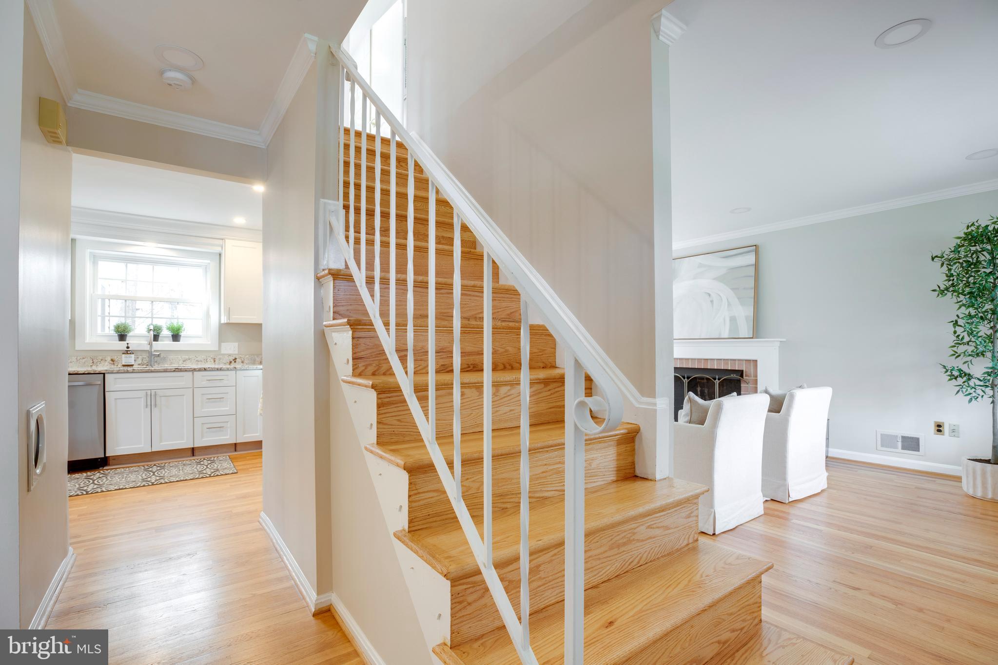 RED FOX FOREST - Residential